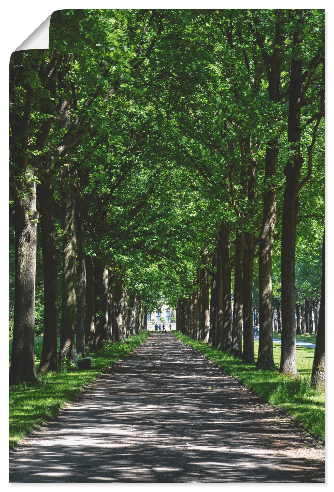 Image of Artland Wandbild »Allee in der Karlsaue in Kassel«, Bäume, (1 St.), in vielen Grössen & Produktarten - Alubild / Outdoorbild für den Aussenbereich, Leinwandbild, Poster, Wandaufkleber / Wandtattoo auch für Badezimmer geeignet bei Ackermann Versand Schweiz