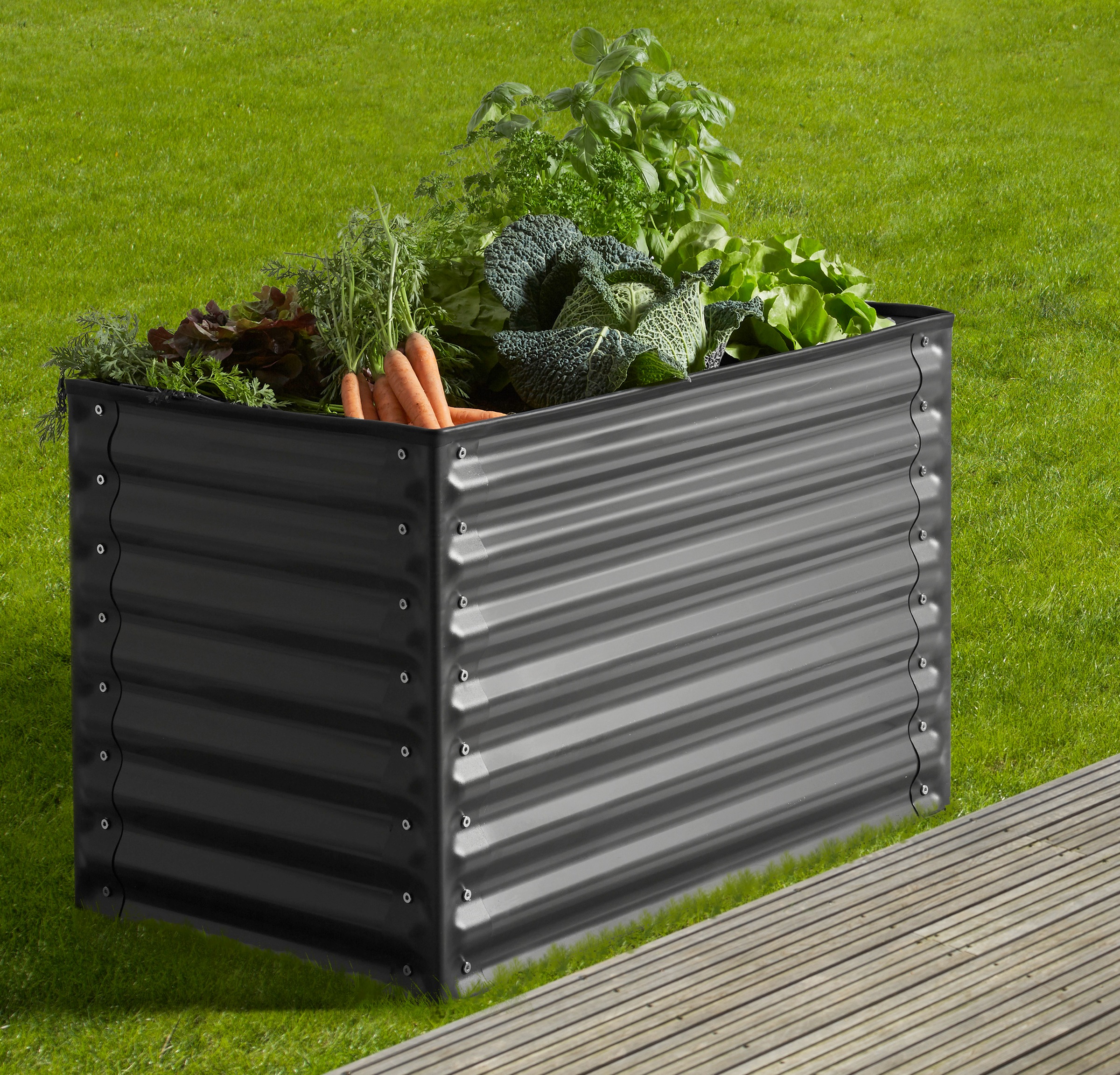 Image of KONIFERA Hochbeet, BxTxH: 100x60x60 cm bei Ackermann Versand Schweiz