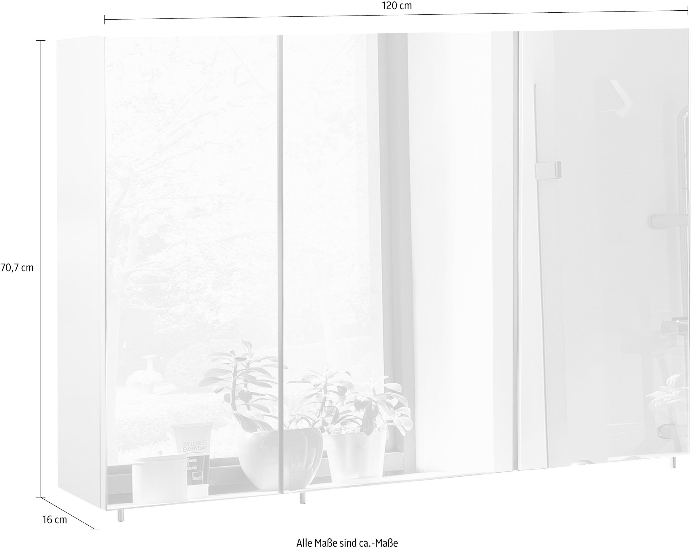 Schildmeyer Spiegelschrank »Basic made in Germany« Breite 120 cm, 3-türig, Glaseinlegeböden, Made in Germany