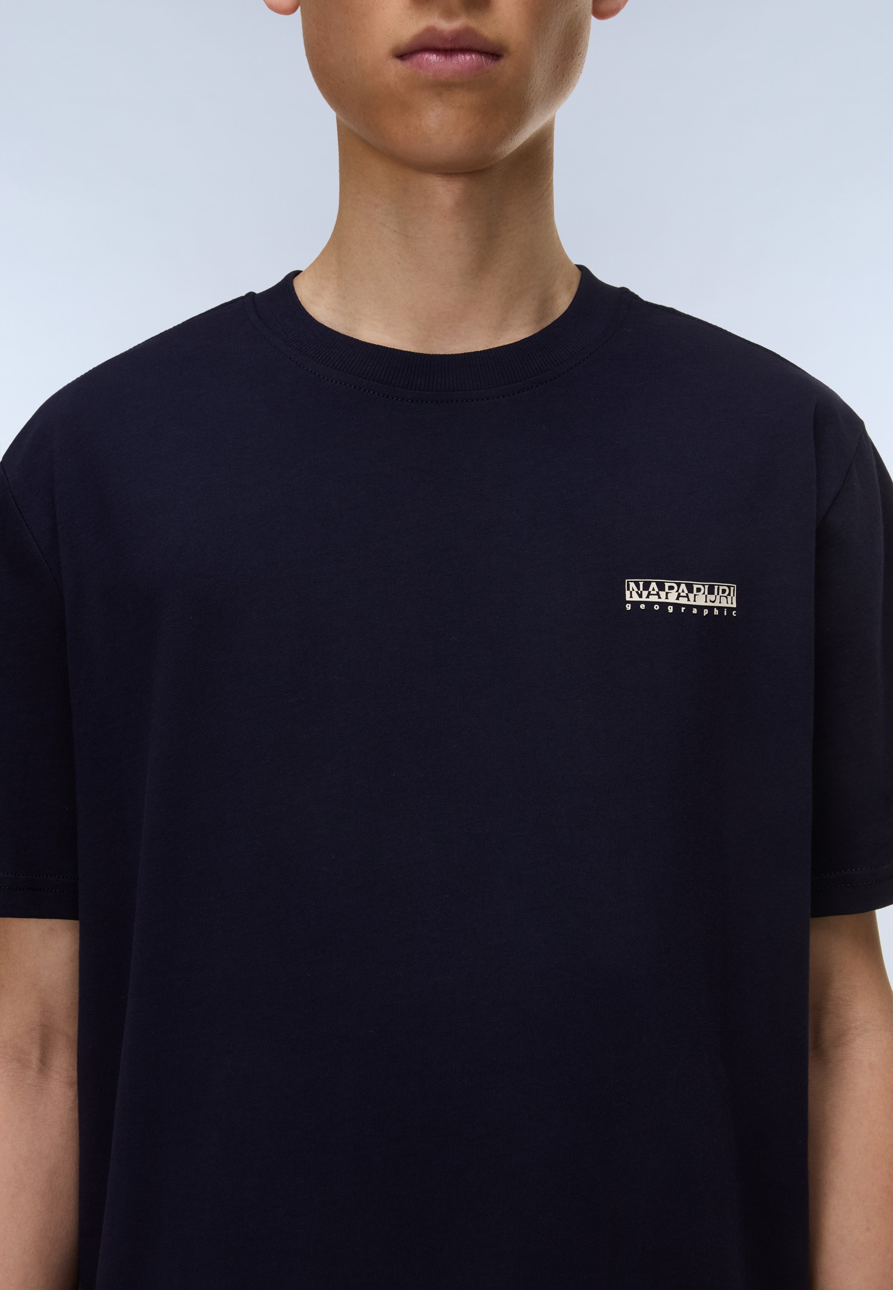Napapijri T-shirt »S-SMALL BOX« avec design à manches courtes, en jersey de coton, coupe normale