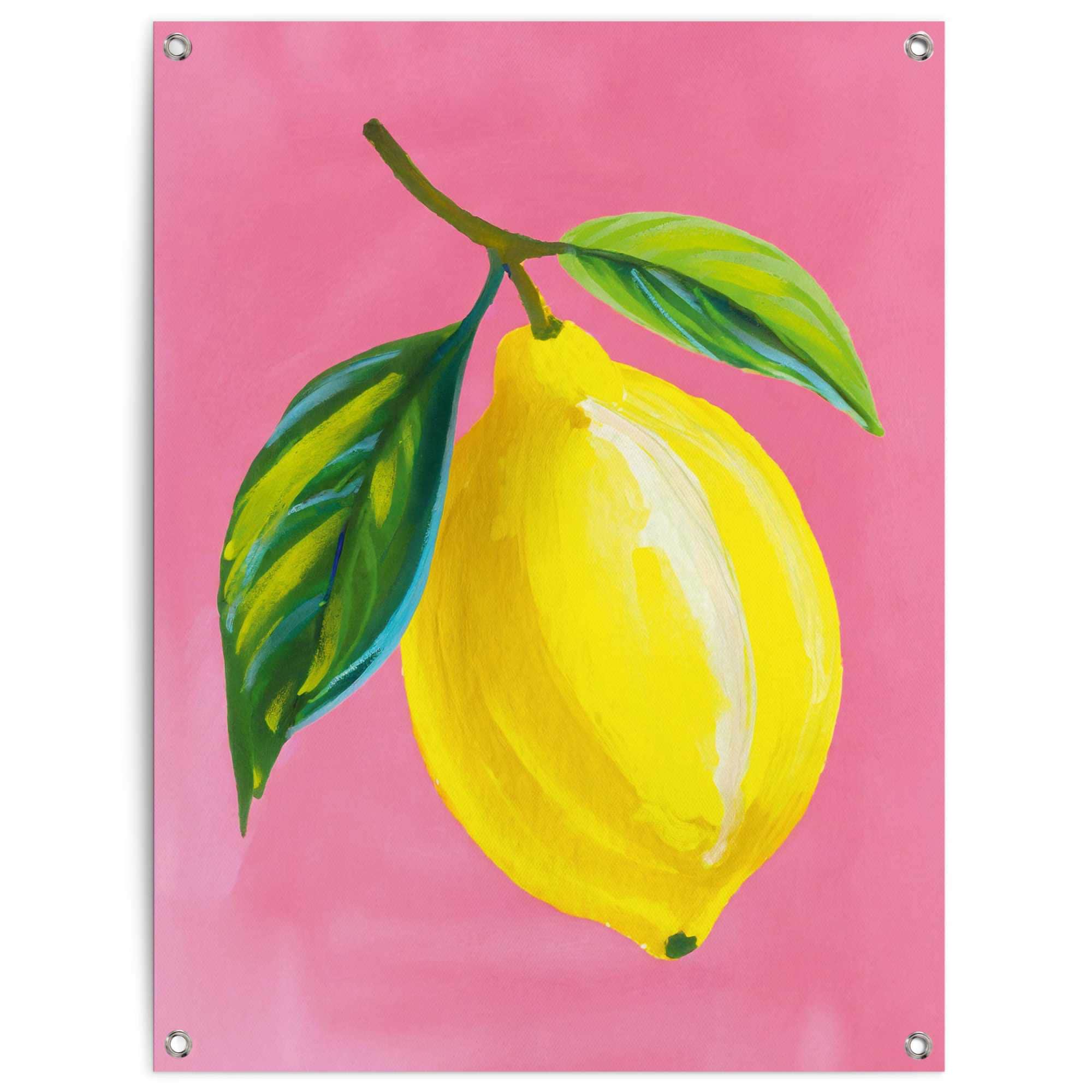 Image of Reinders Poster "Lemon on Pink" Garten - Zitrone - Gelb - Leinwand - Essen und Trinken - 60x80 cm