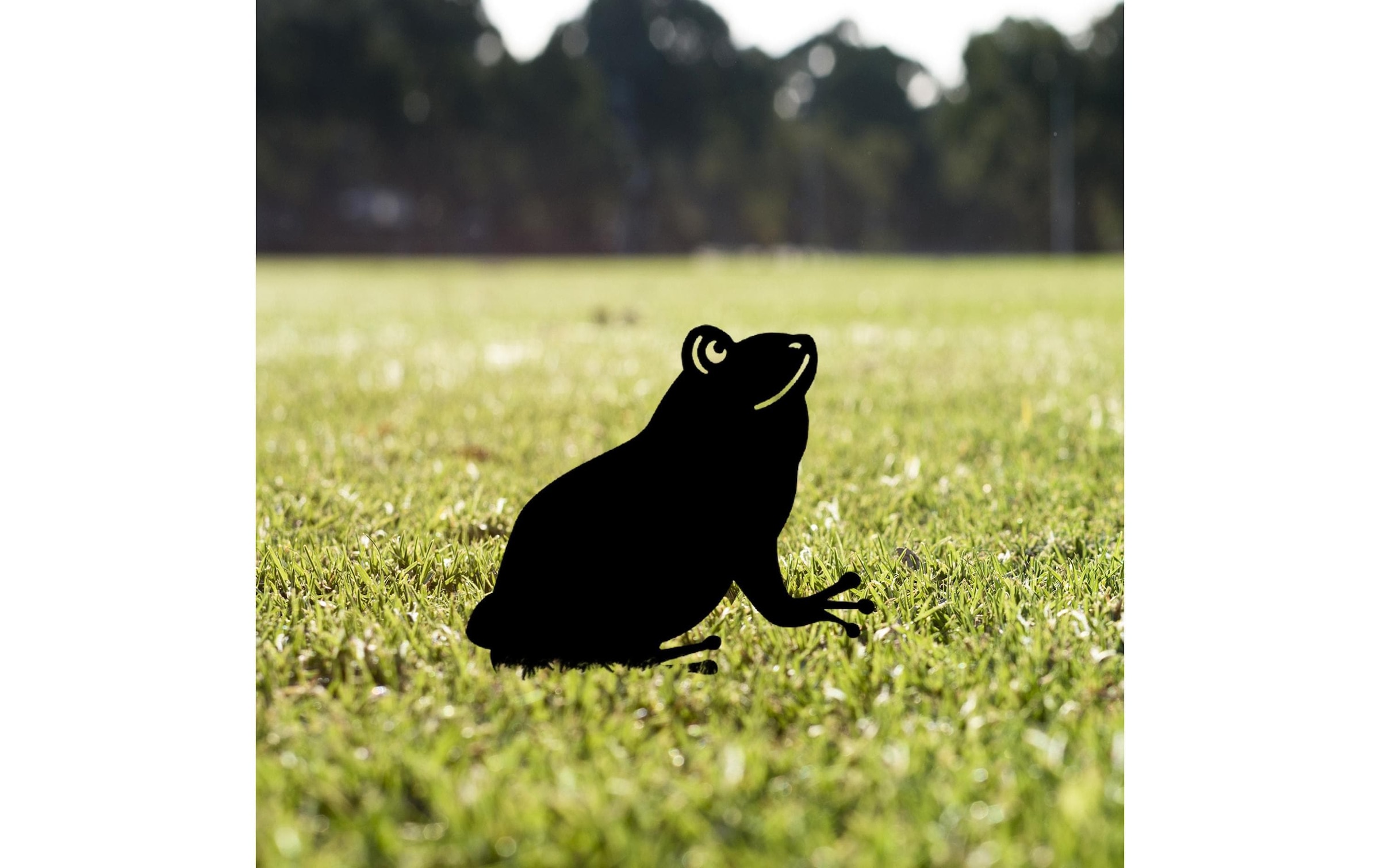   Fiches de jardin »Wallxpert Frosch 34 x 22 cm«