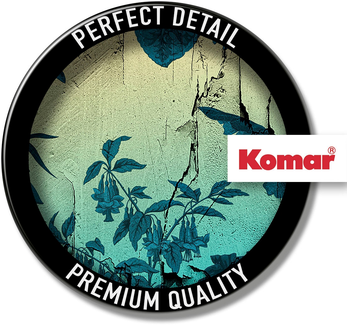 Komar Image »Mur en Ruine« 1 cuis tlg. Wandbild zur Dekoration - ohne Rahmen