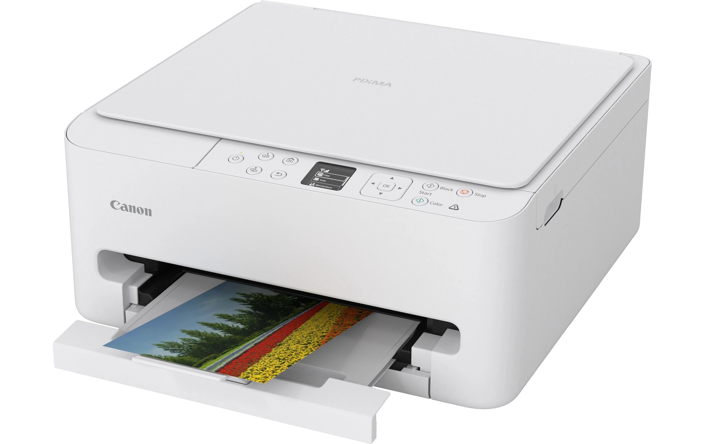 Canon Imprimante multifonctions »PIXMA TS6550i«
