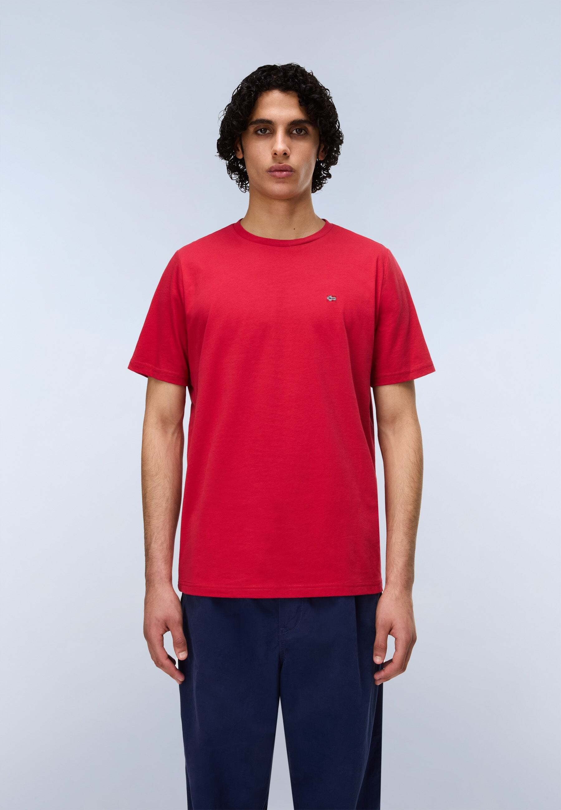 Napapijri T-Shirt »Napapijri T-Shirt SALIS SS«