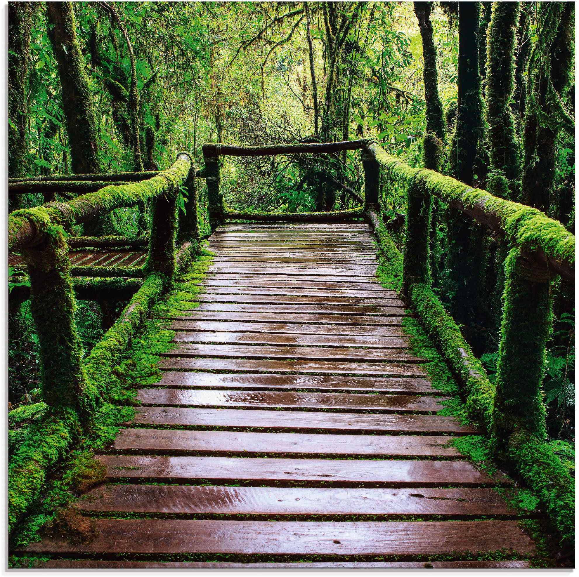 Image of Artland Glasbild »Brückenpfad im Wald«, Asien, (1 St.) bei Ackermann Versand Schweiz