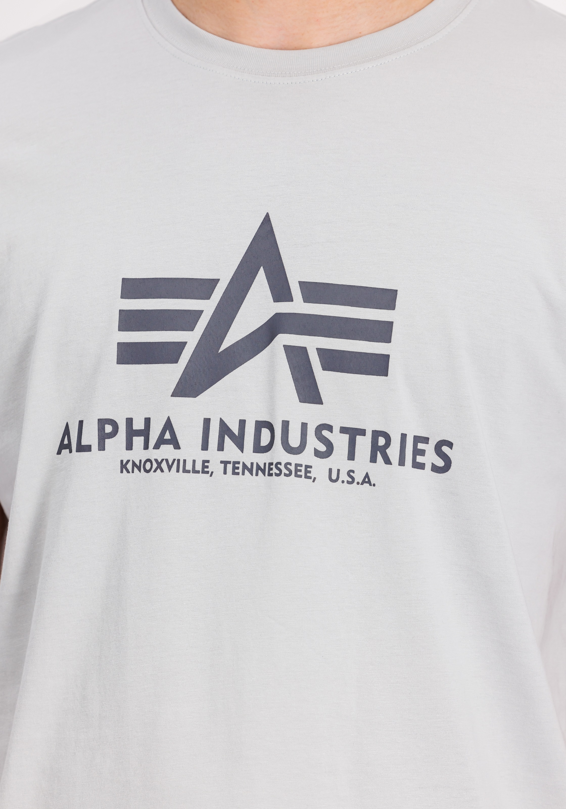 Alpha Industries T-shirt »Basic T-Shirt« Baumwolle, regular fit