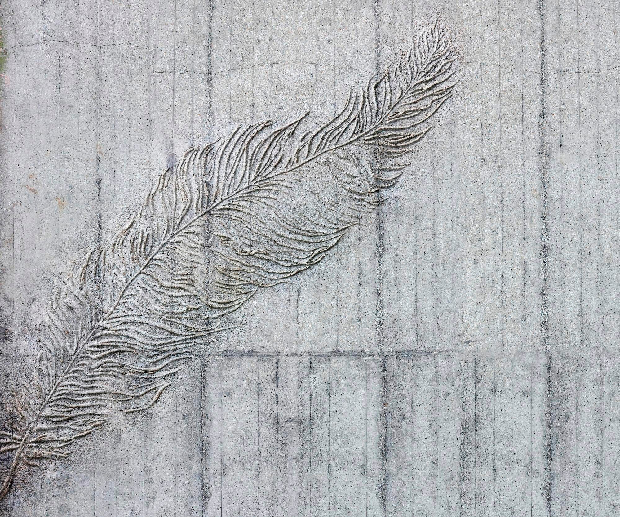 Image of Komar Vliestapete »Betonfede«, Steinoptik bei Ackermann Versand Schweiz