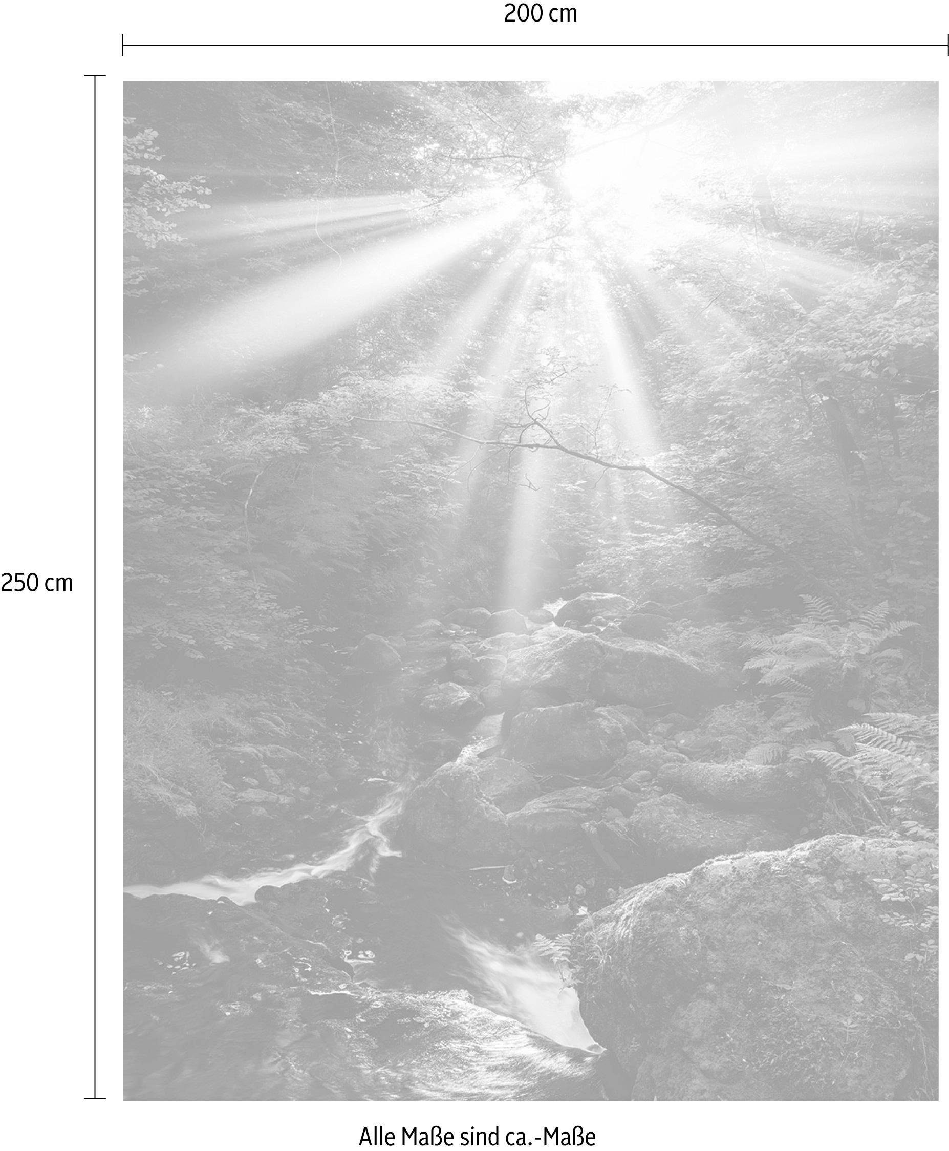 Komar Vliestapete »Divine«, 200x250 cm (Breite x Höhe), Vliestapete, 100 cm Bahnbreite