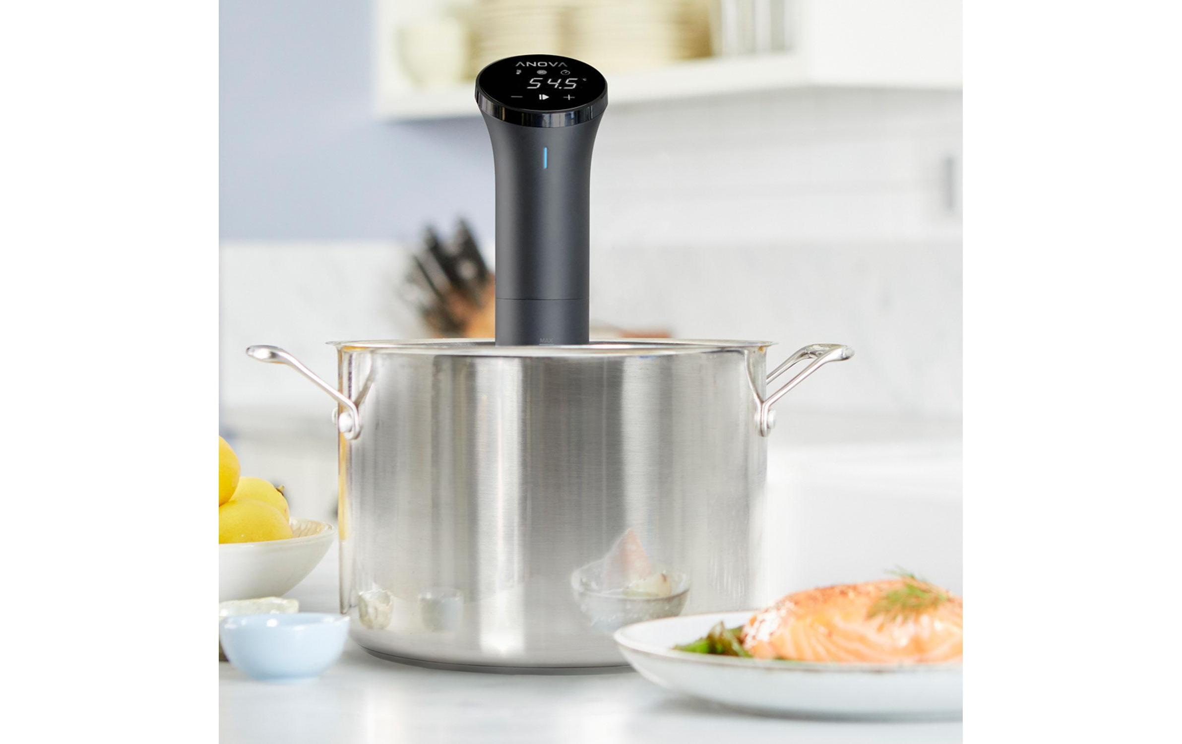 Sous-Vide Stick »Anova Sous Vide Stick Sous Vide Precision® Cooker Nano«