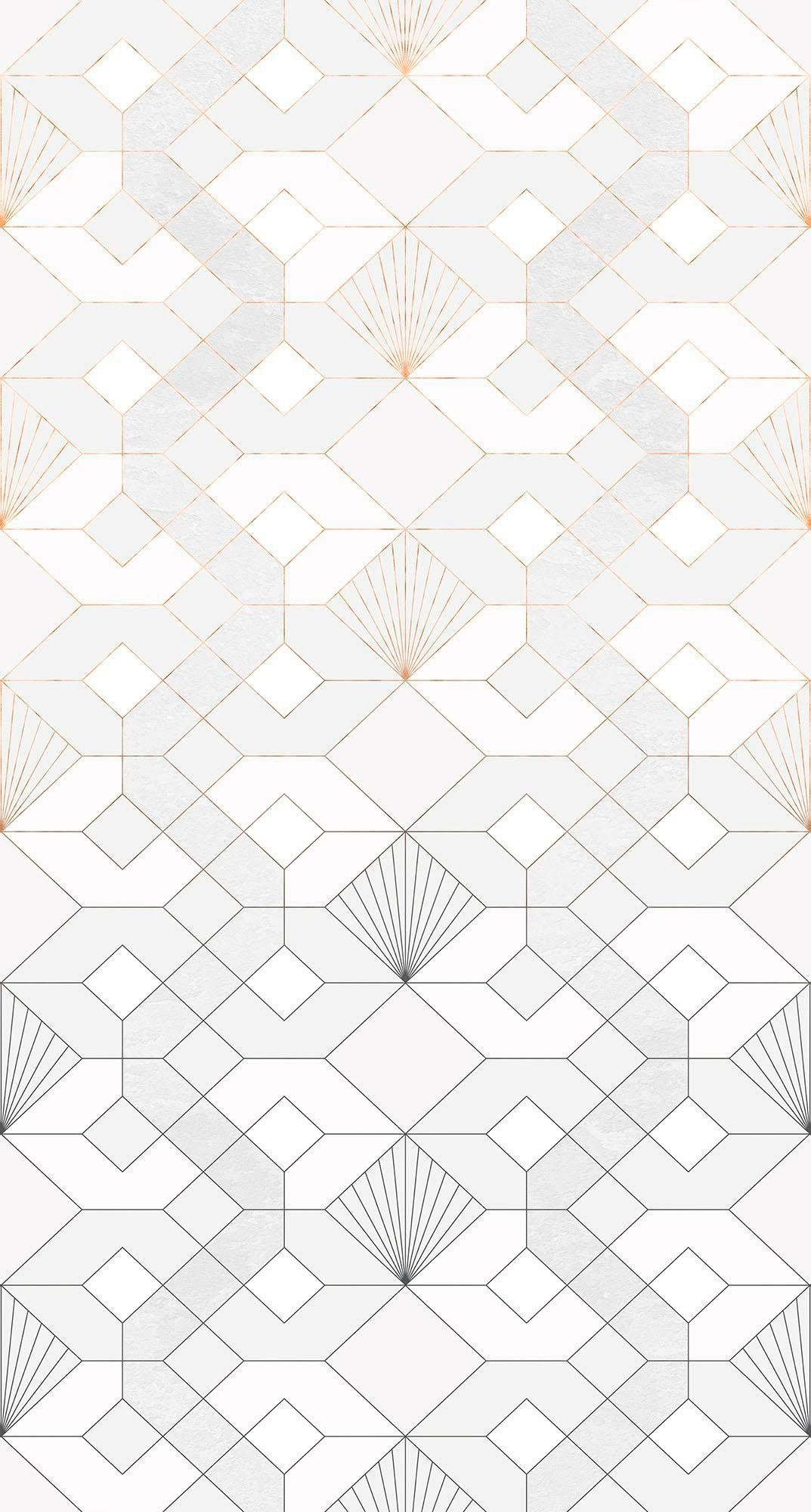 Image of Komar Vliestapete »Coquilles«, naturalistisch bei Ackermann Versand Schweiz