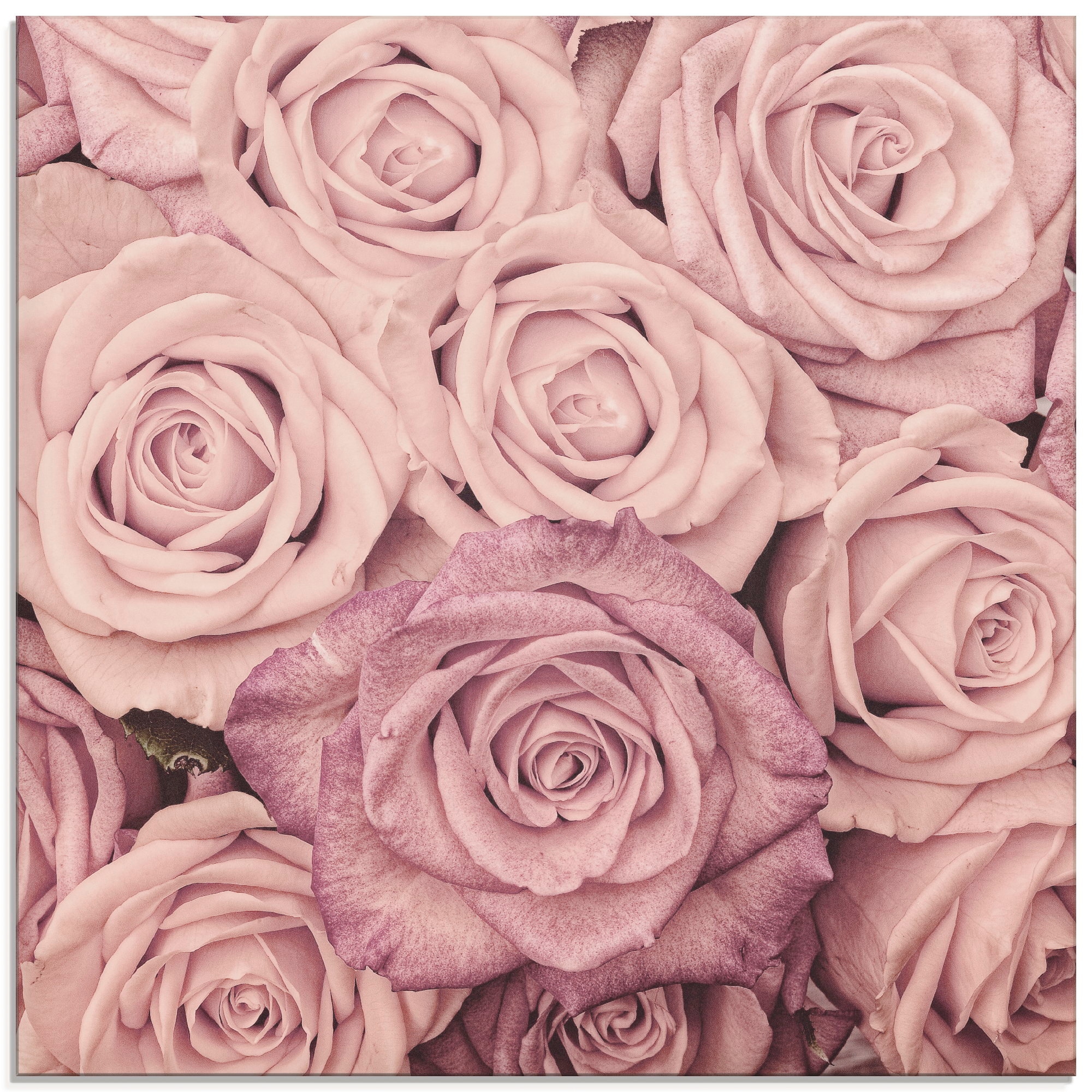 St.), (1 Blumen, verschiedenen in bequem Glasbild kaufen Grössen »Rosen«, Artland