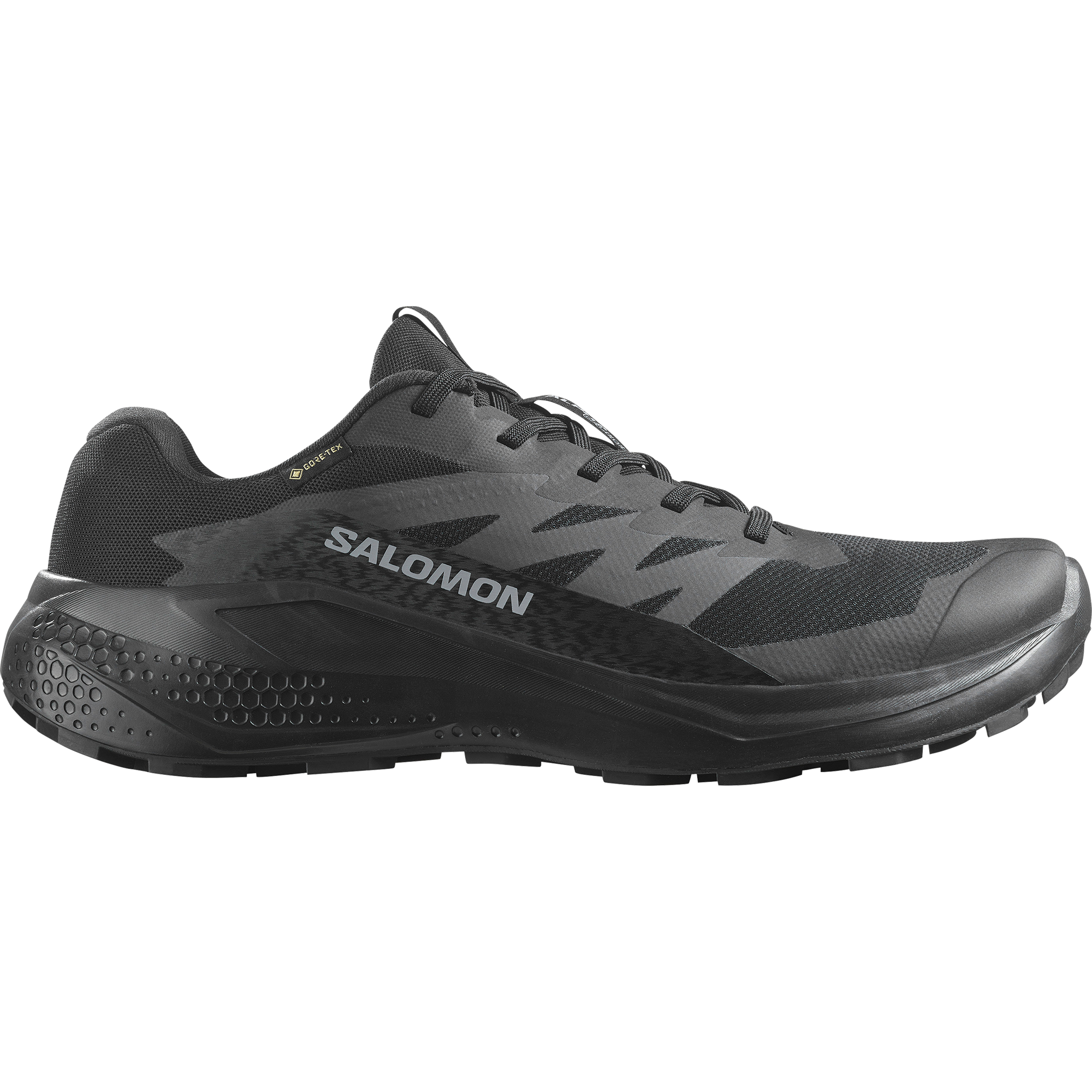 Salomon Trailrunningschuh »ALPHAGLIDE GORE-TEX«, wasserdicht