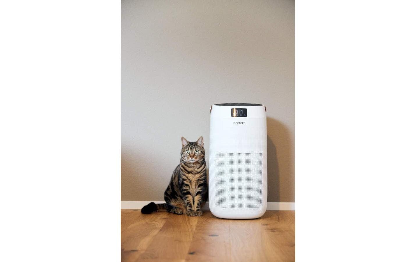 Luftreiniger »Ecofort Luftreiniger ecoQ CleanAir 400«, für 80 m² Räume