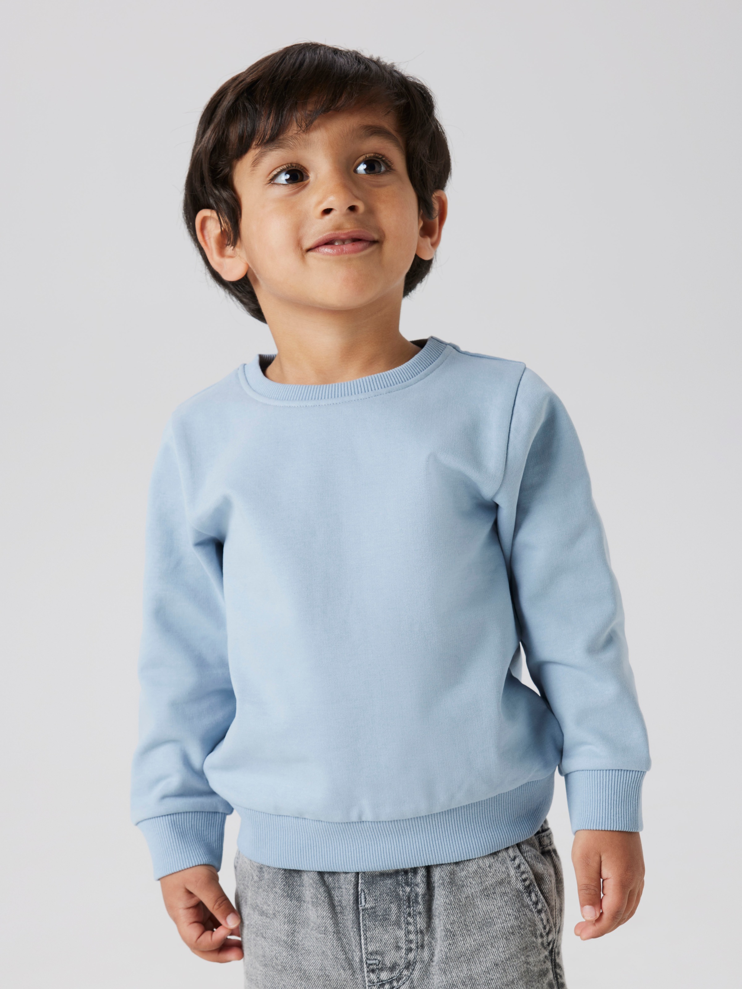 Name It Sweatshirt »NMNSELI LS SWE BRU NOOS«