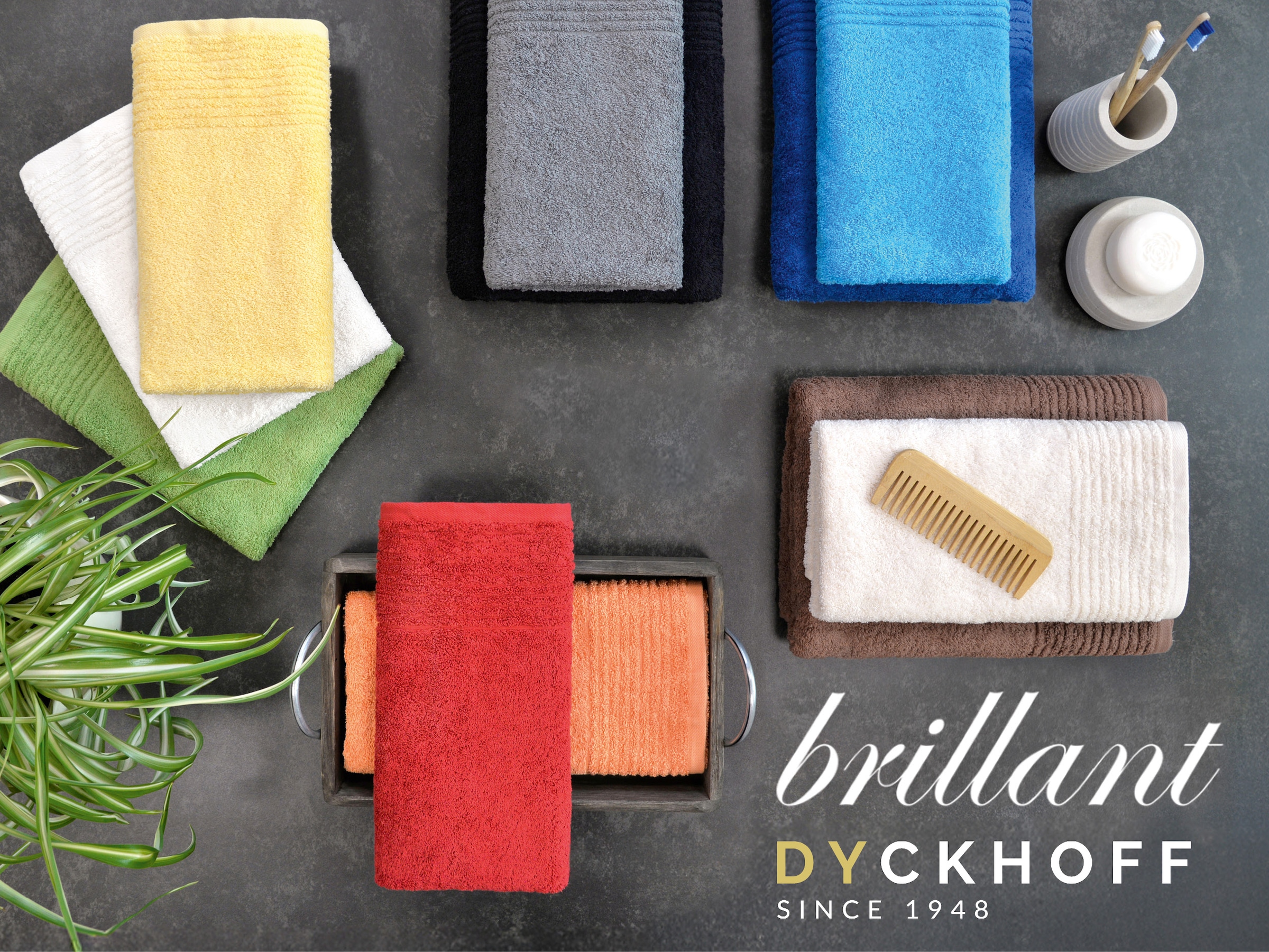 Dyckhoff Gant de toilette »Waschhandschuh-Set BRILLANT 6-tlg., Baumwolle, 550 g/m²« Coton