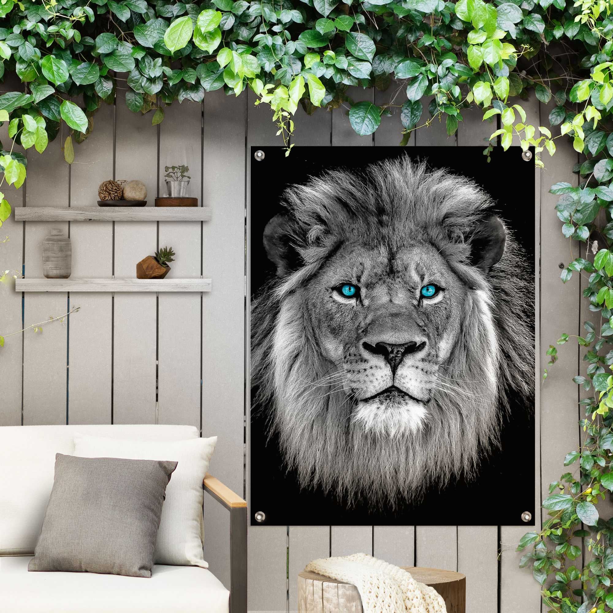 Reinders! Poster »Löwe mit Balkon Garten blaue für Outdoor oder Augen«