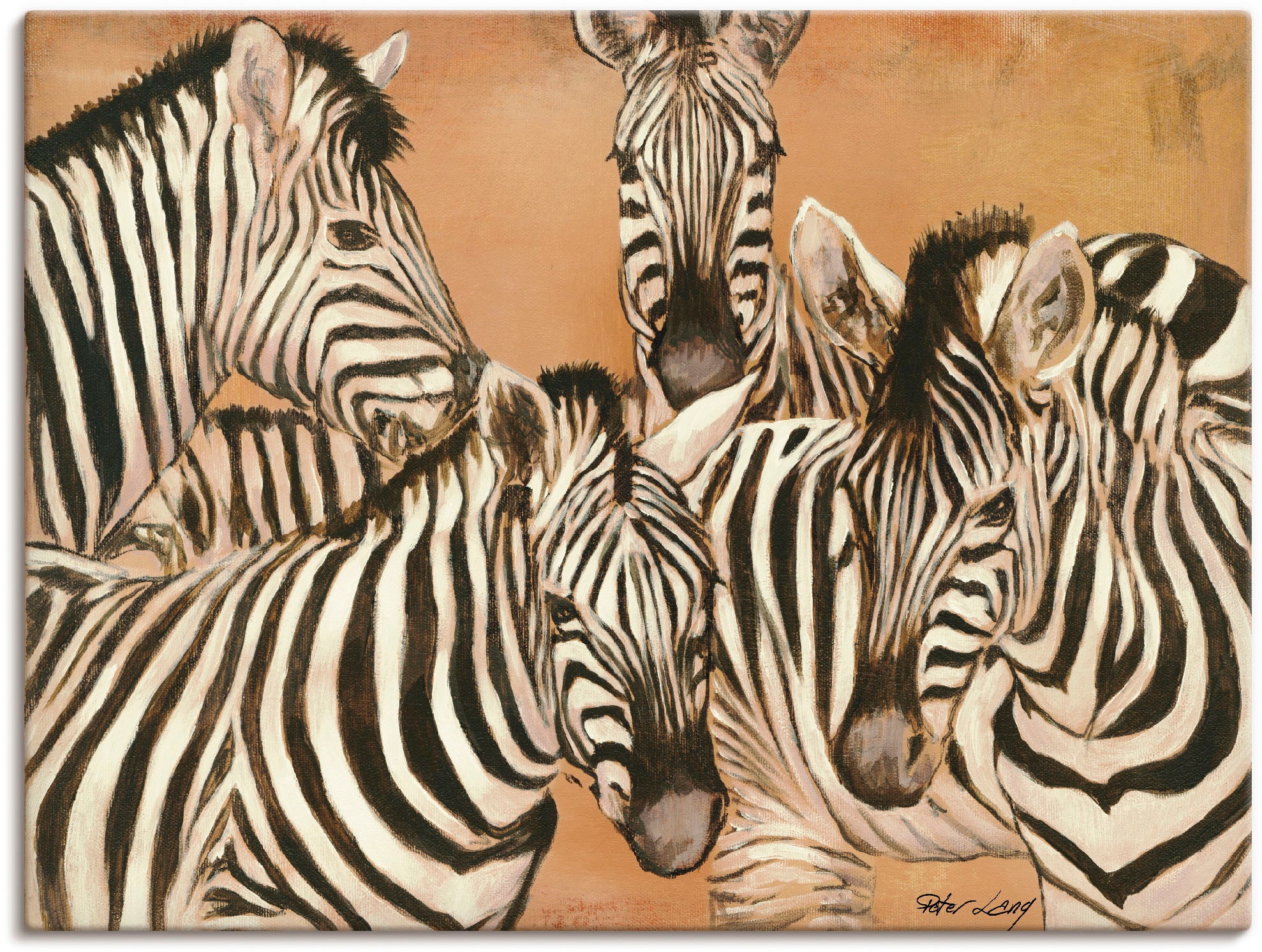 Artland Wandbild (1 kaufen Poster Wildtiere, oder Wandaufkleber St.), versch. Grössen als Alubild, Leinwandbild, in »Zebras«
