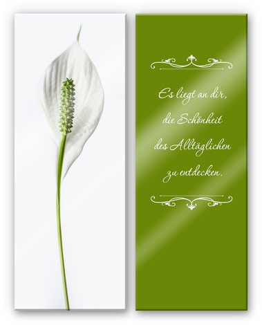 Image of Wall-Art Mehrteilige Bilder »Schönheit entdecken (2-teilig)«, (Set, 2 St.) bei Ackermann Versand Schweiz