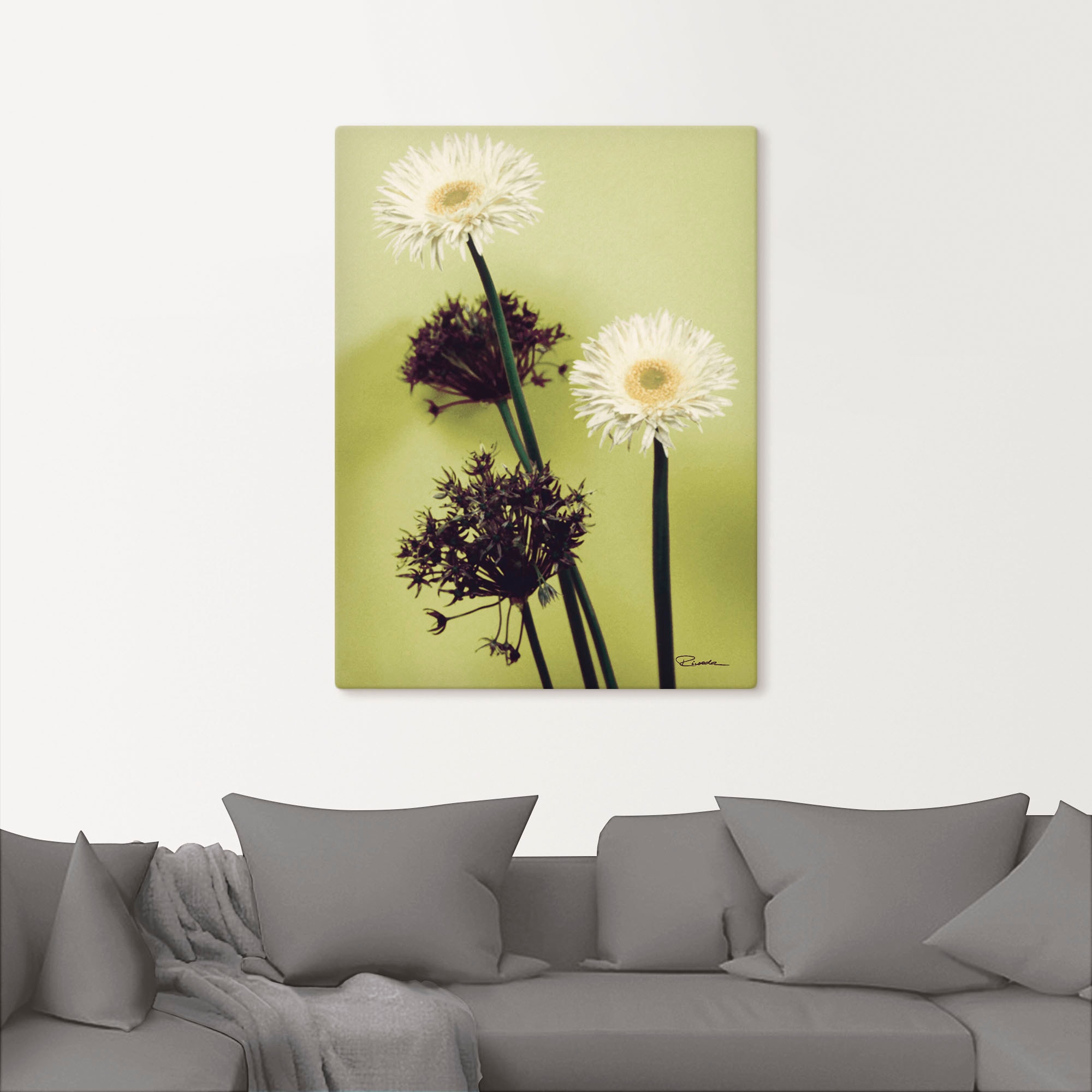 Artland Wandbild »Zwei vor grün - Gerberas« Blumenbilder 1 Stk. tlg. als Leinwandbild in verschied. Grössen
