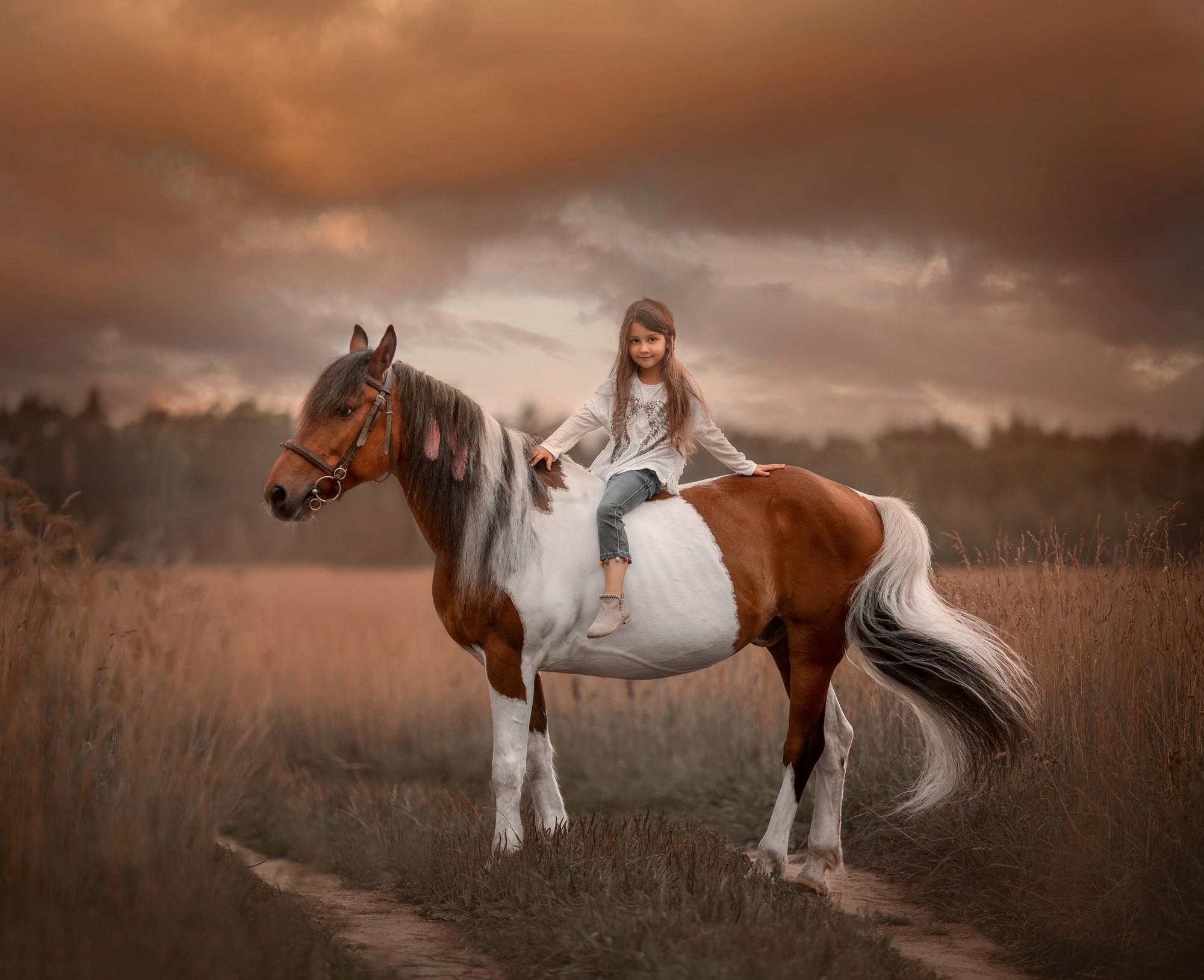 Image of Papermoon Fototapete »PINTO PONY-PFERD MÄDCHEN SCHECKE TIER MINI INDIAN«, Vliestapete, hochwertiger Digitaldruck, inklusive Kleister bei Ackermann Versand Schweiz