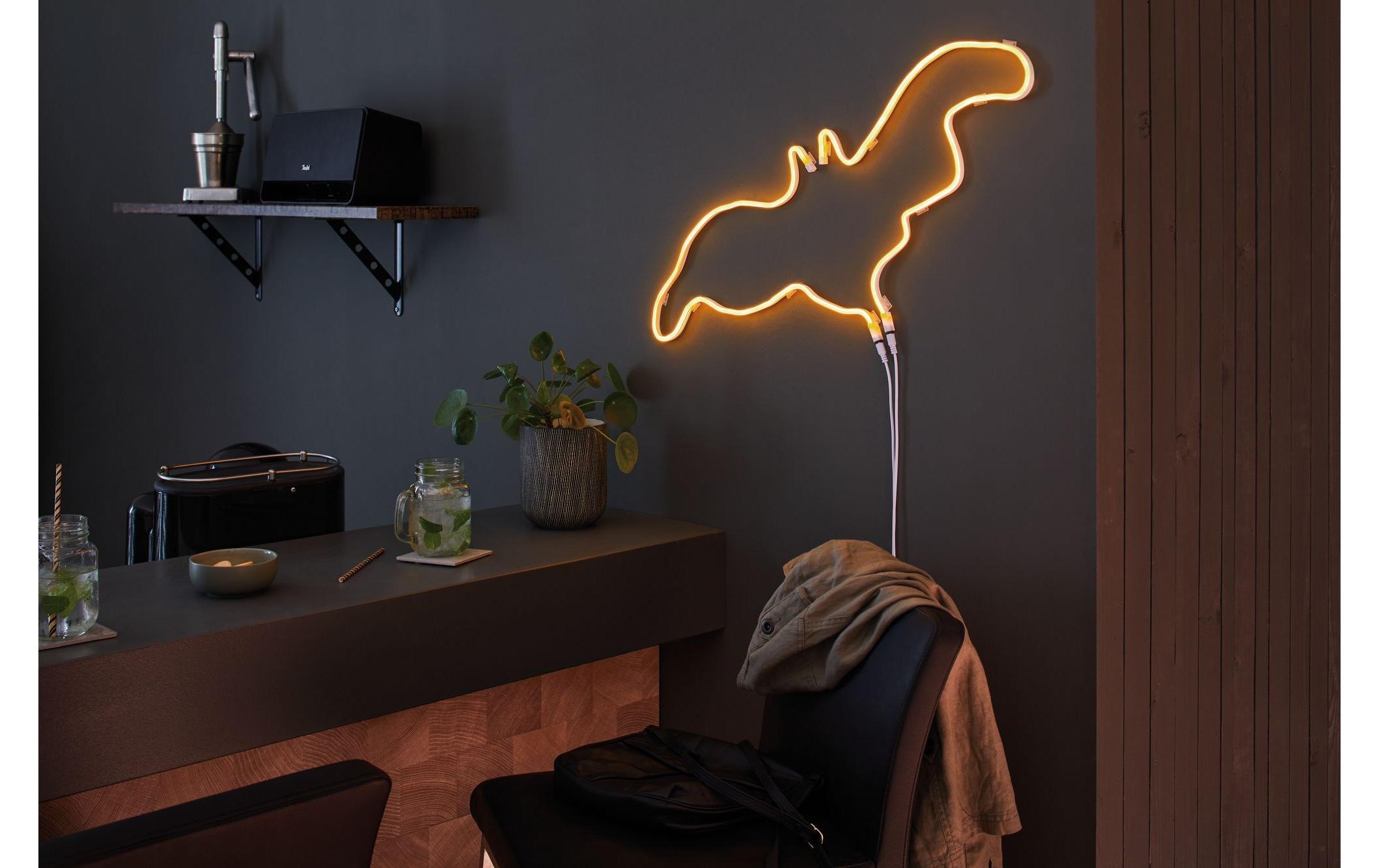 Paulmann LED-Streifen »Neon Colorflex«, 120 St.-flammig
