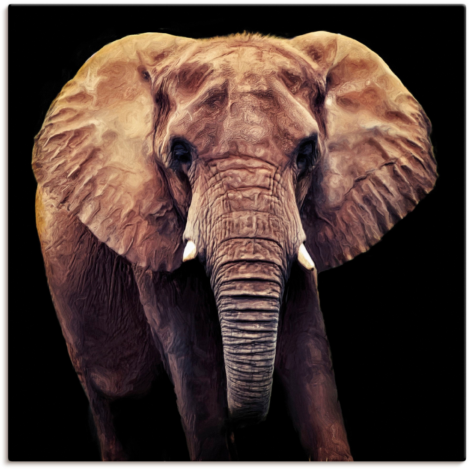Grössen Poster jetzt »Elefant«, St.), Wildtiere, Wandbild Wandaufkleber Artland oder kaufen in (1 als versch. Leinwandbild,