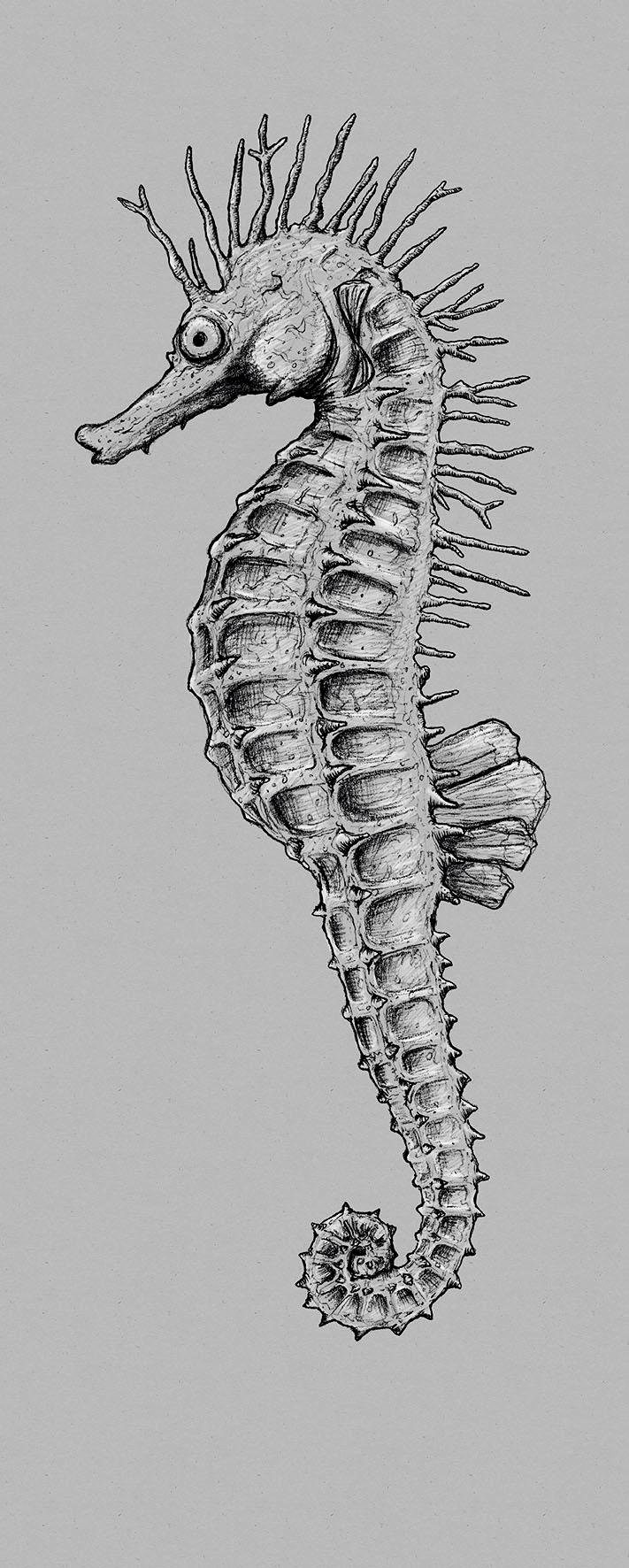 Image of Komar Vliestapete »Seahorse Panel«, Strand bei Ackermann Versand Schweiz