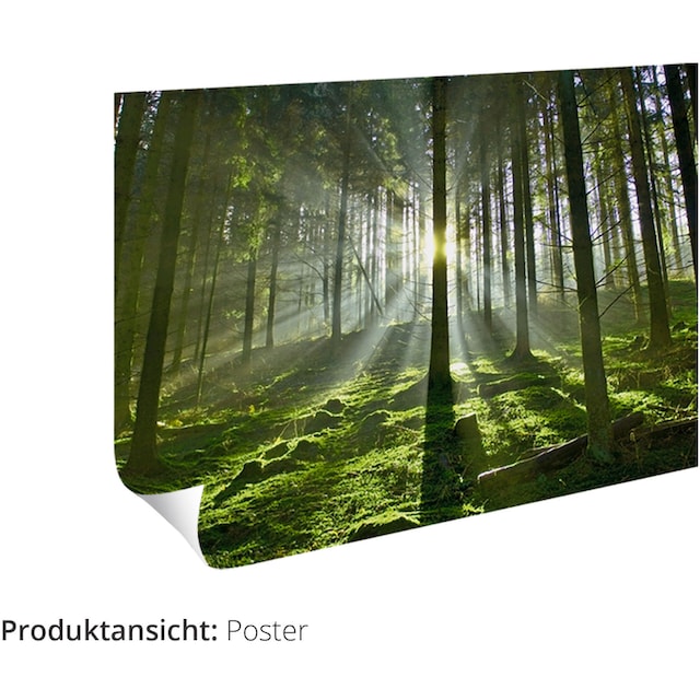 Artland Wandbild »Traumhafte Landschaft im Schwarzwald«, Wiesen &  Baumbilder, (1 St.), als Alubild, Leinwandbild, Wandaufkleber oder Poster  in versch. Grössen günstig kaufen