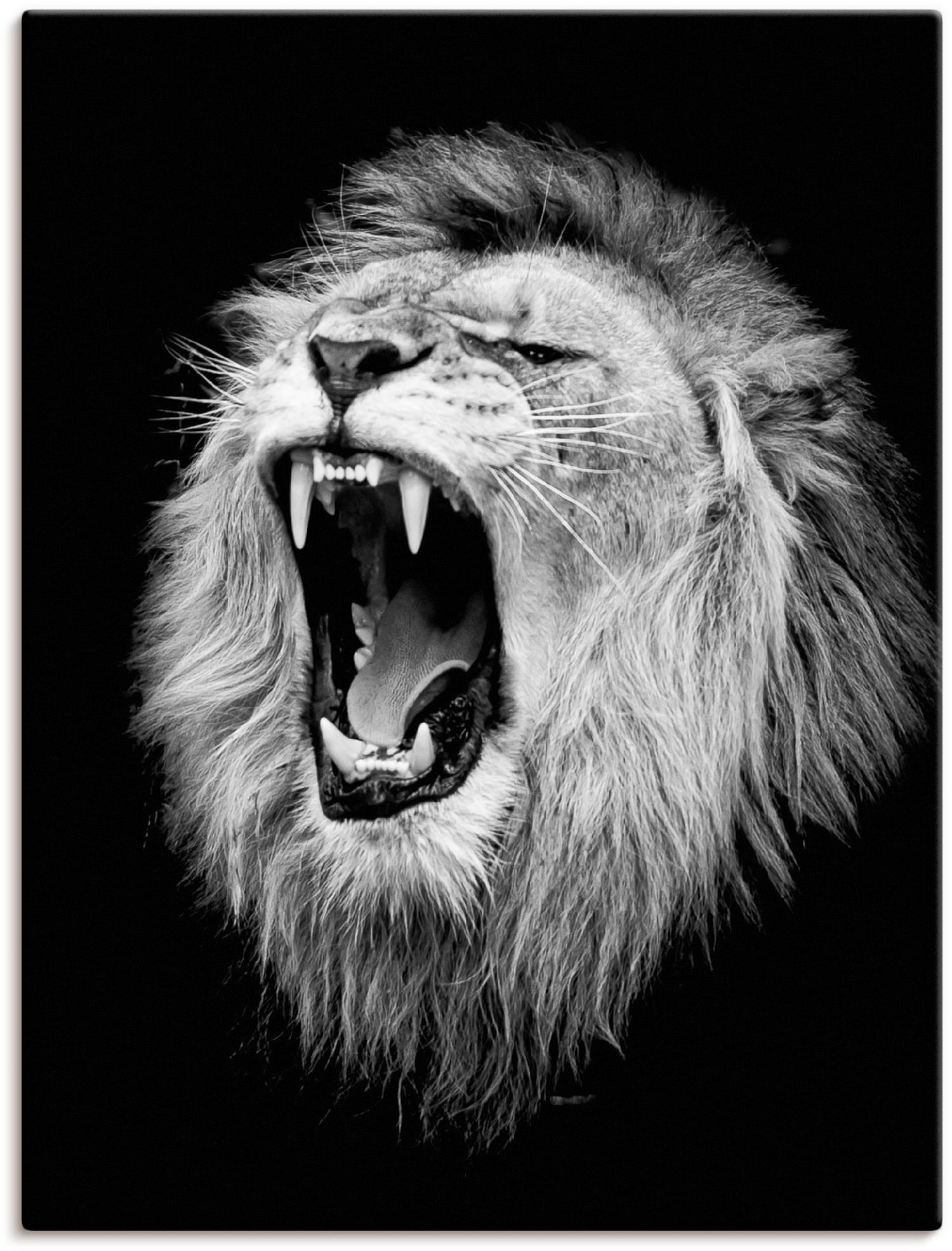 Image of Artland Wandbild "Der Löwe" Wildtiere 1 Stk. tlg. als Leinwandbild, Poster in verschied. Grössen