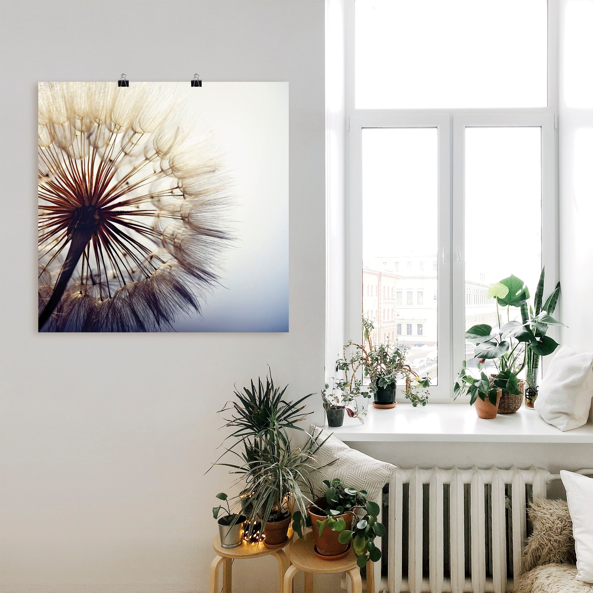 Artland Wandbild »Grosse Pusteblume« Blumen 1 Stk. tlg. als Leinwandbild, Poster in verschied. Grössen