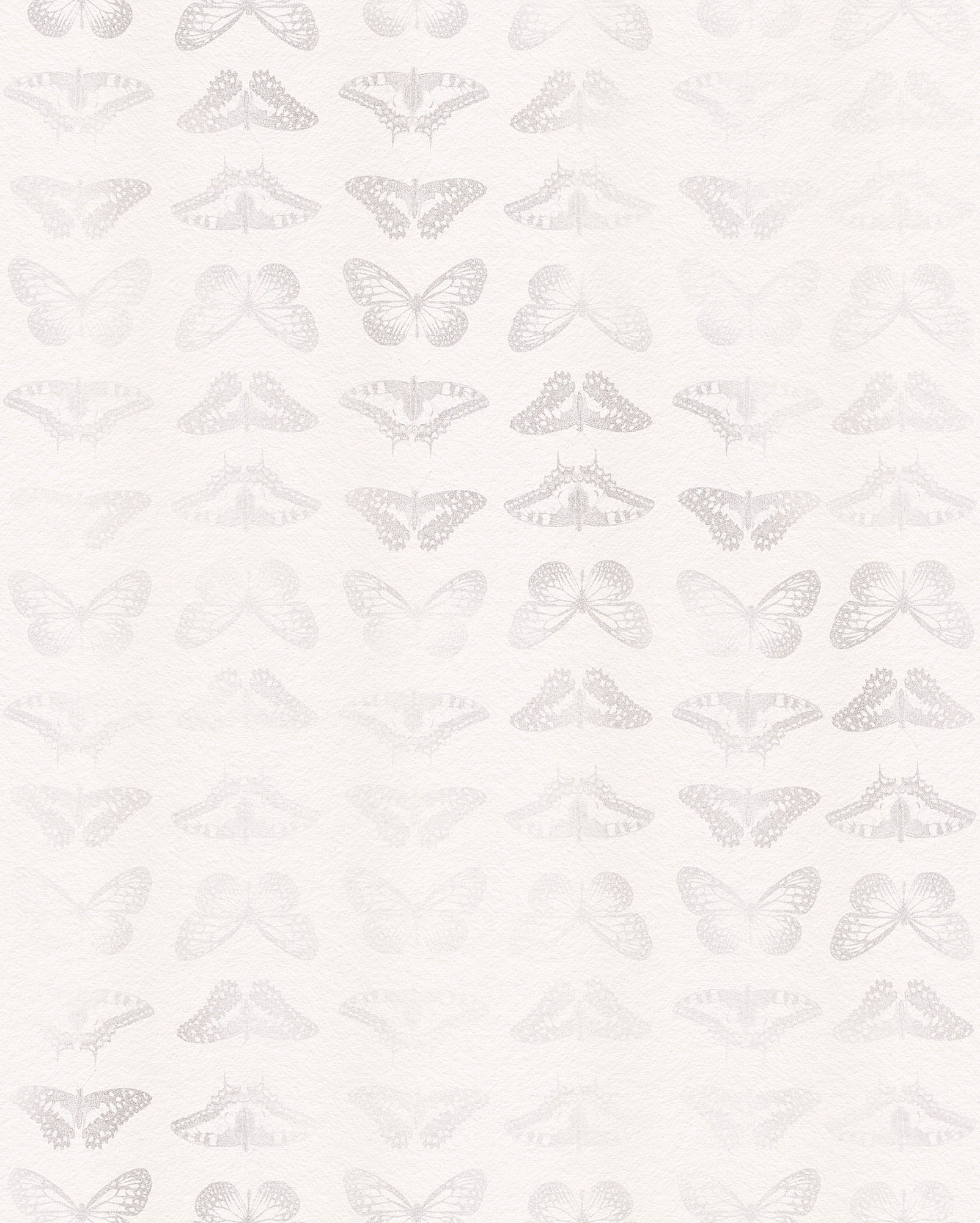 Image of Komar Vliestapete "Digitaldruck Vlies - Mur de Papillons - Grösse 200 x 250 cm" bedruckt glatt Wohnzimmer, Schlafzimmer
