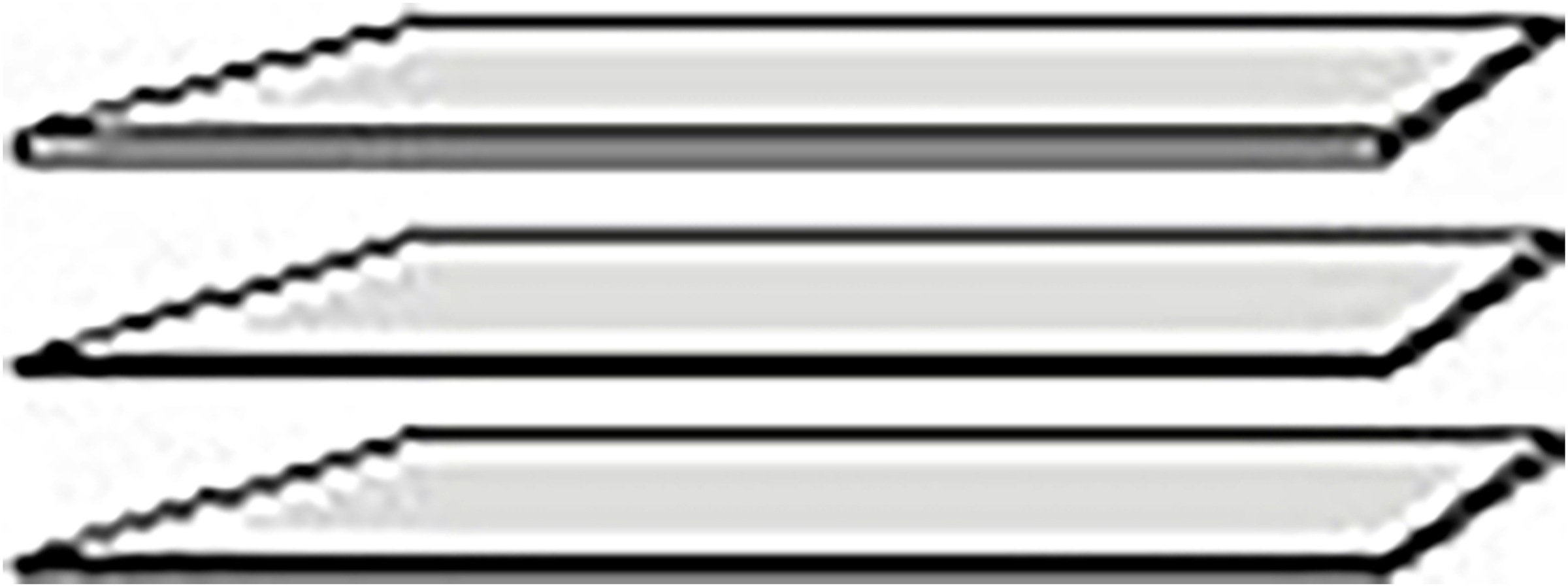 FORTE Einlegeboden Einlegeböden 2,2 cm Stärke, optional bestellbar, 3er Set