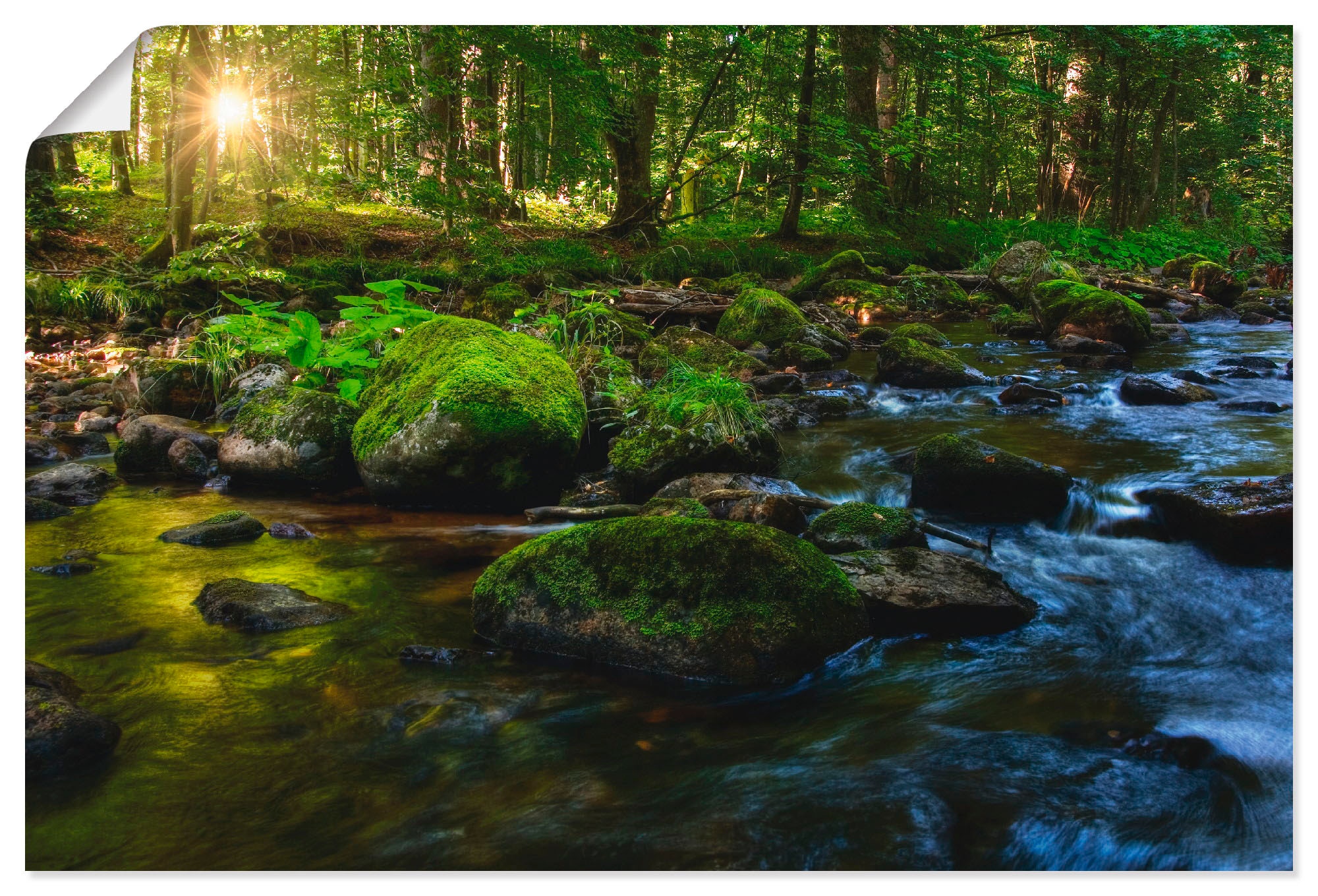 Image of Artland Poster "Feenland" Wald 1 Stk. tlg. ohne Rahmen