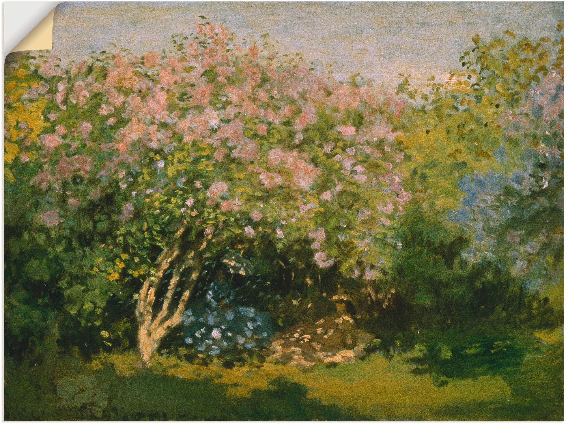 Image of Artland Wandbild »Blühender Flieder in der Sonne. 1873«, Blumen, (1 St.), in vielen Grössen & Produktarten - Alubild / Outdoorbild für den Aussenbereich, Leinwandbild, Poster, Wandaufkleber / Wandtattoo auch für Badezimmer geeignet bei Ackermann Versand S