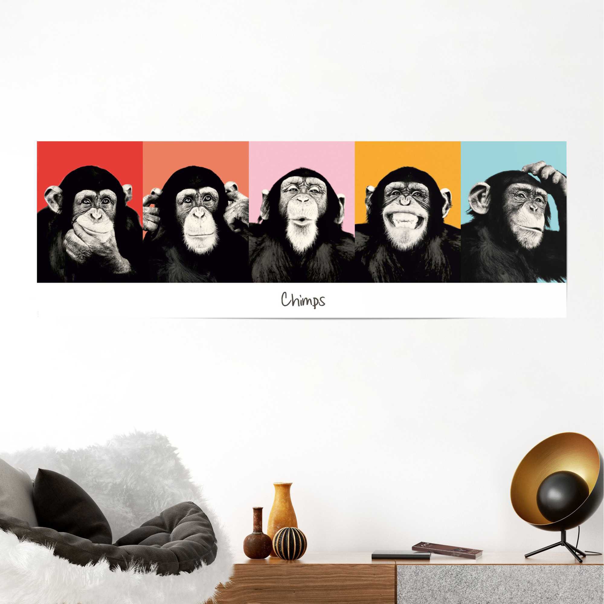 Reinders! Poster »Schimpanse Pop« 1 Stk. tlg.