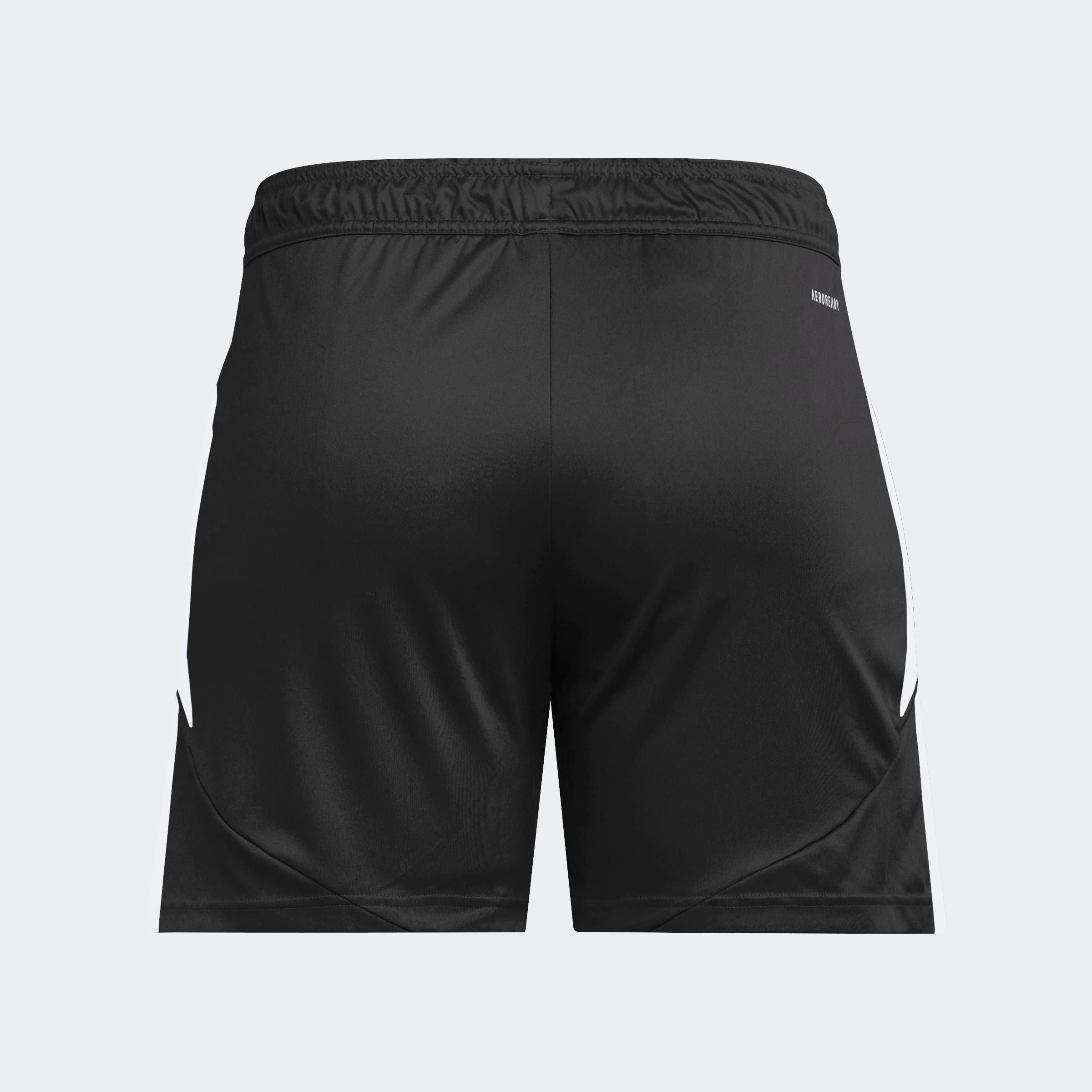 adidas Performance Short d'entraînement »TIRO24 TRSHOW«