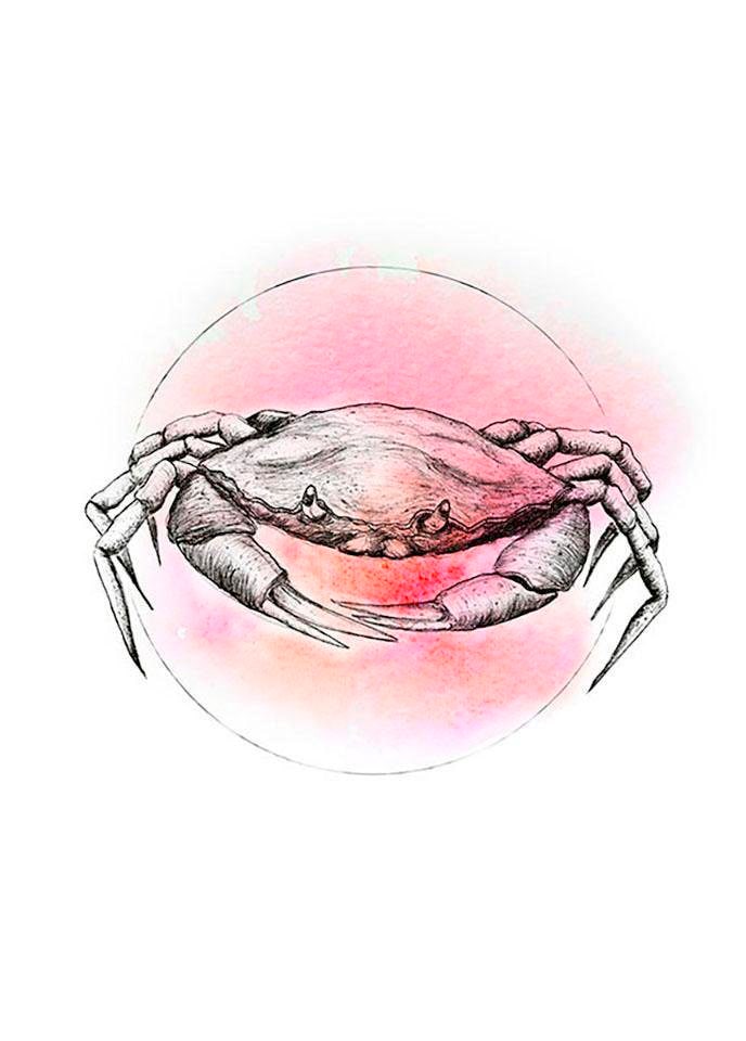 Komar Poster »Crab Watercolor«, Tiere, (1 St.), Kinderzimmer, Schlafzimmer, Wohnzimmer