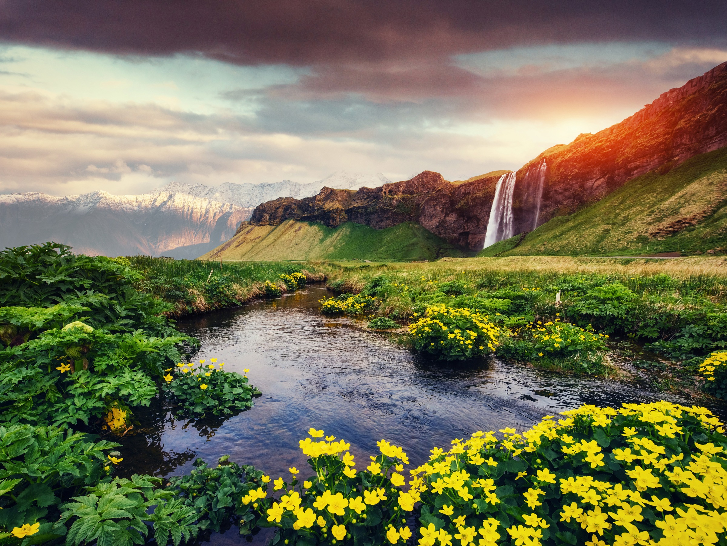 Image of Papermoon Fototapete »Seljalandfoss waterfall Iceland« bei Ackermann Versand Schweiz