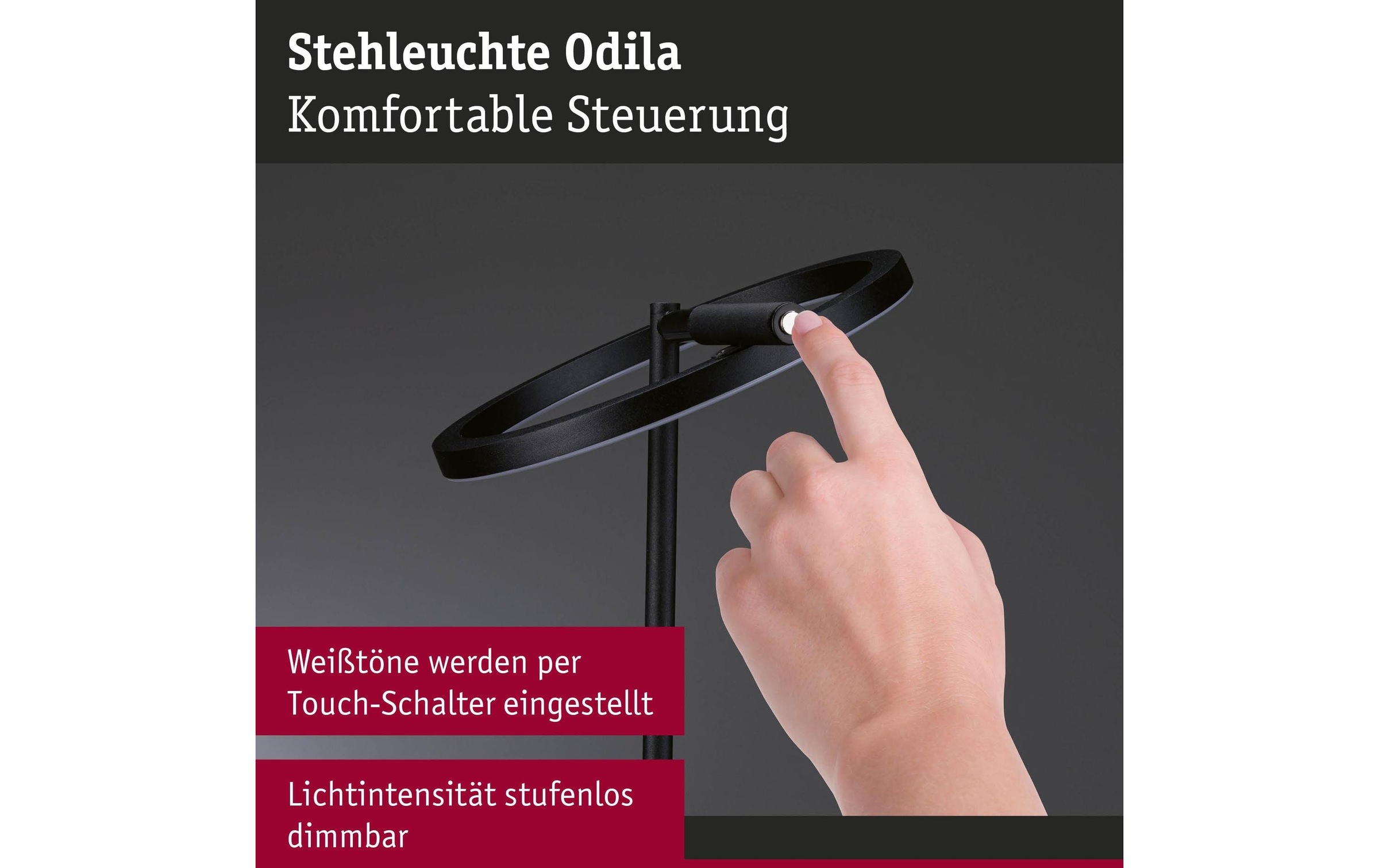 Paulmann Deckenleuchte »Stehleuchte Odila, Schwarz matt« LED-Modul warmweiss - kaltweiss