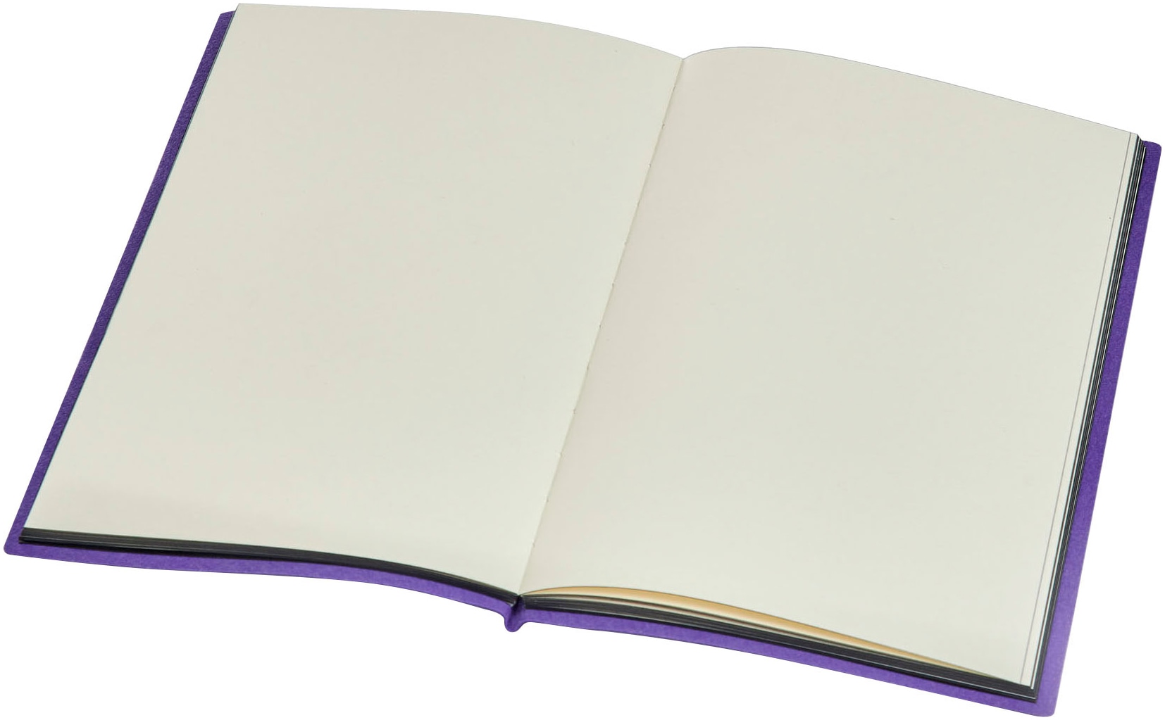 Dickie Toys Notizbuch »Wednesday Tagebuch« DIN A5