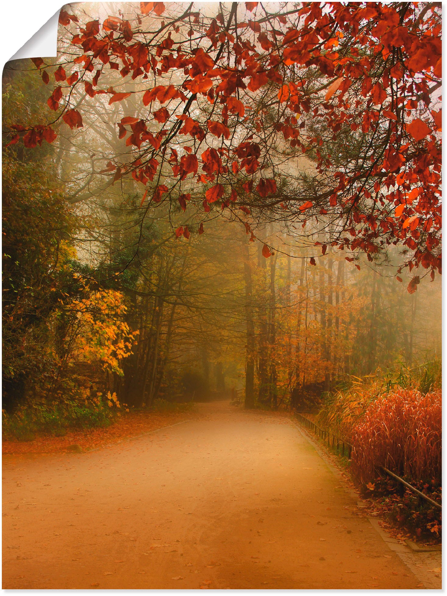 Image of Artland Poster "Herbst im Park" Vier Jahreszeiten 1 Stk. tlg. ohne Rahmen