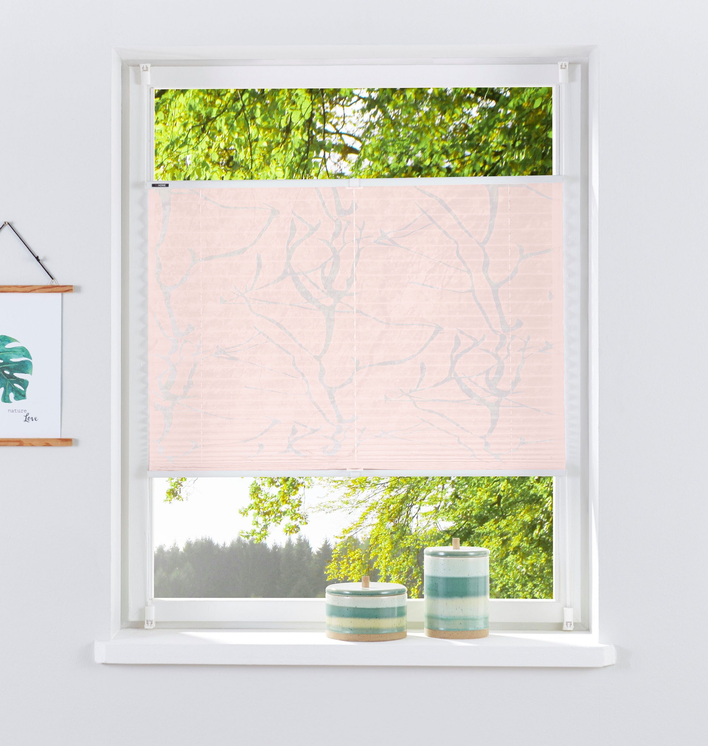 Image of my home Plissee »ANNA«, Lichtschutz, ohne Bohren, verspannt, Klemmfix, Ausbrenner, Ästemotiv, Klemmträger bei Ackermann Versand Schweiz