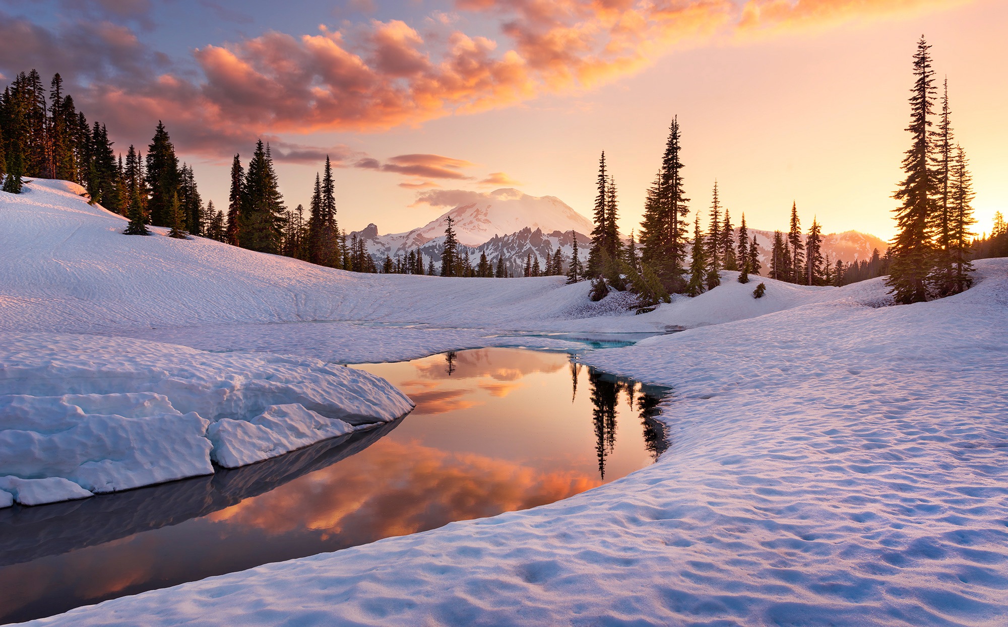 Image of Komar Fototapete »America the Beautiful«, mehrfarbig-natürlich-bedruckt bei Ackermann Versand Schweiz