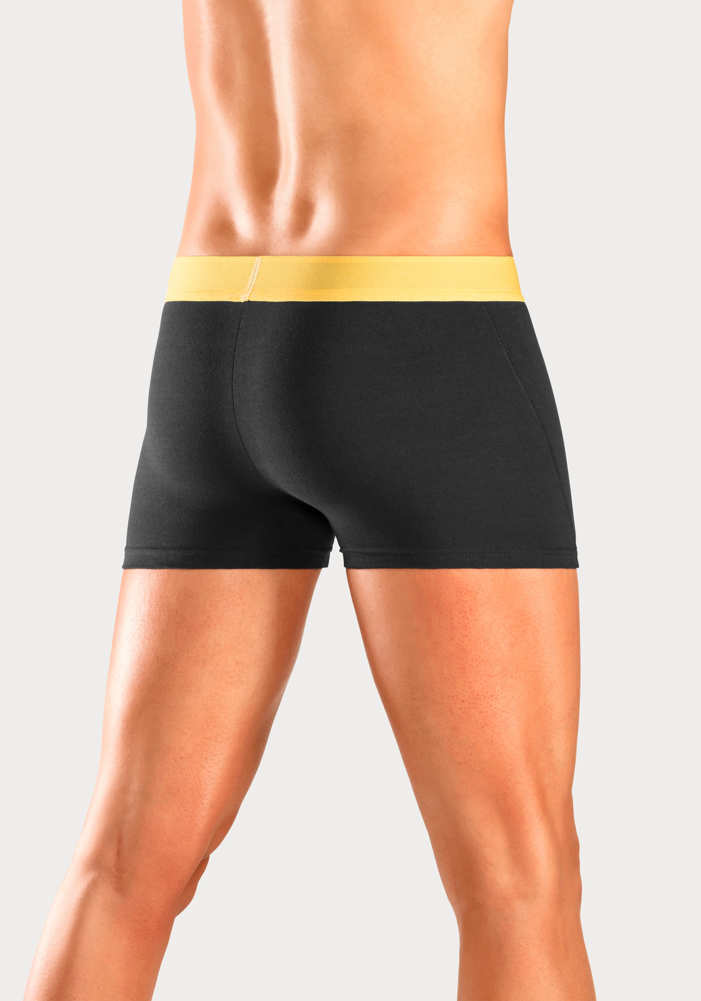 Bruno Banani Boxer »Boxershorts für Herren«, (Packung, 4 St.), mit farbigen Marken-Schriftzug am Bündchen