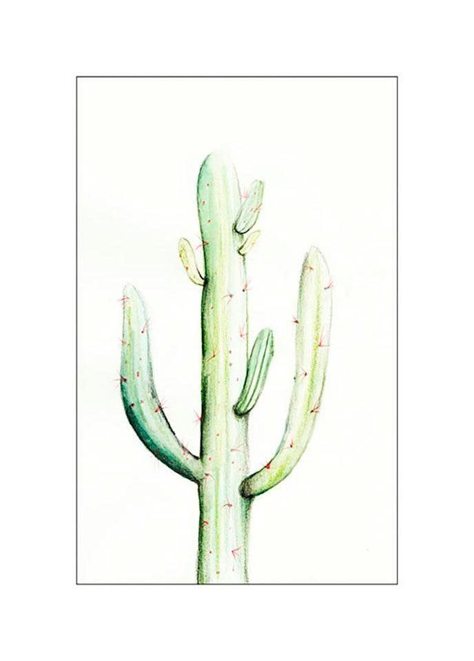 Image of Komar Bild "Saguaro Watercolor" Blätter Pflanzen 1 Stk. tlg. Wandbild zur Dekoration - ohne Rahmen