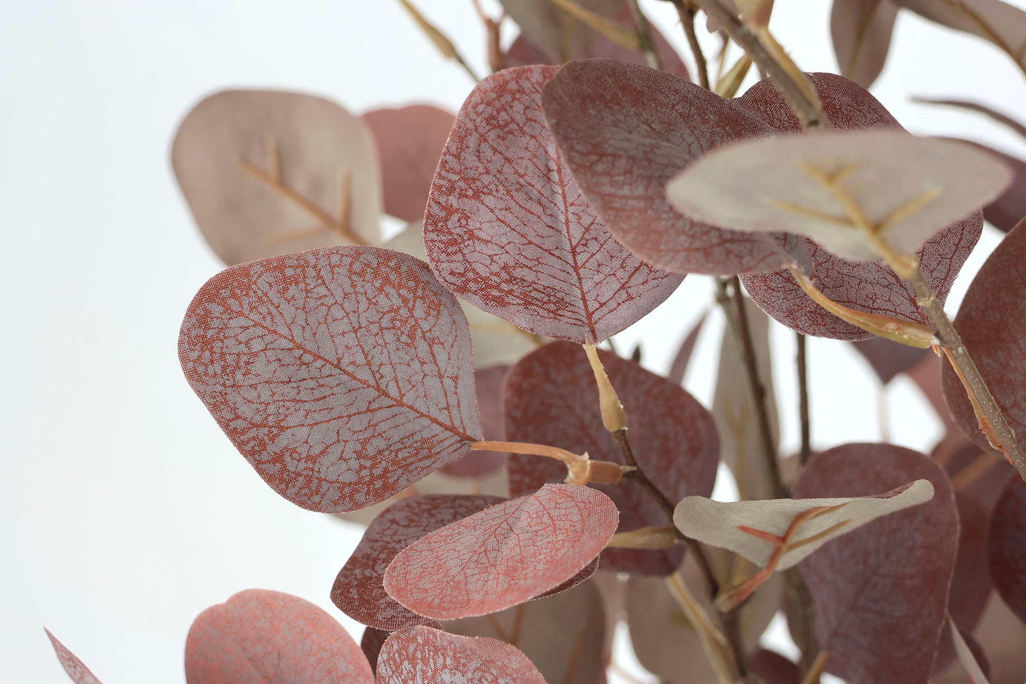 I.GE.A. Plante artificielle »Eukalyptuspflanze« Im Topf künstlicher Eukalyptus Eukalyptusbaum Eukalyptusbusch Pflanze