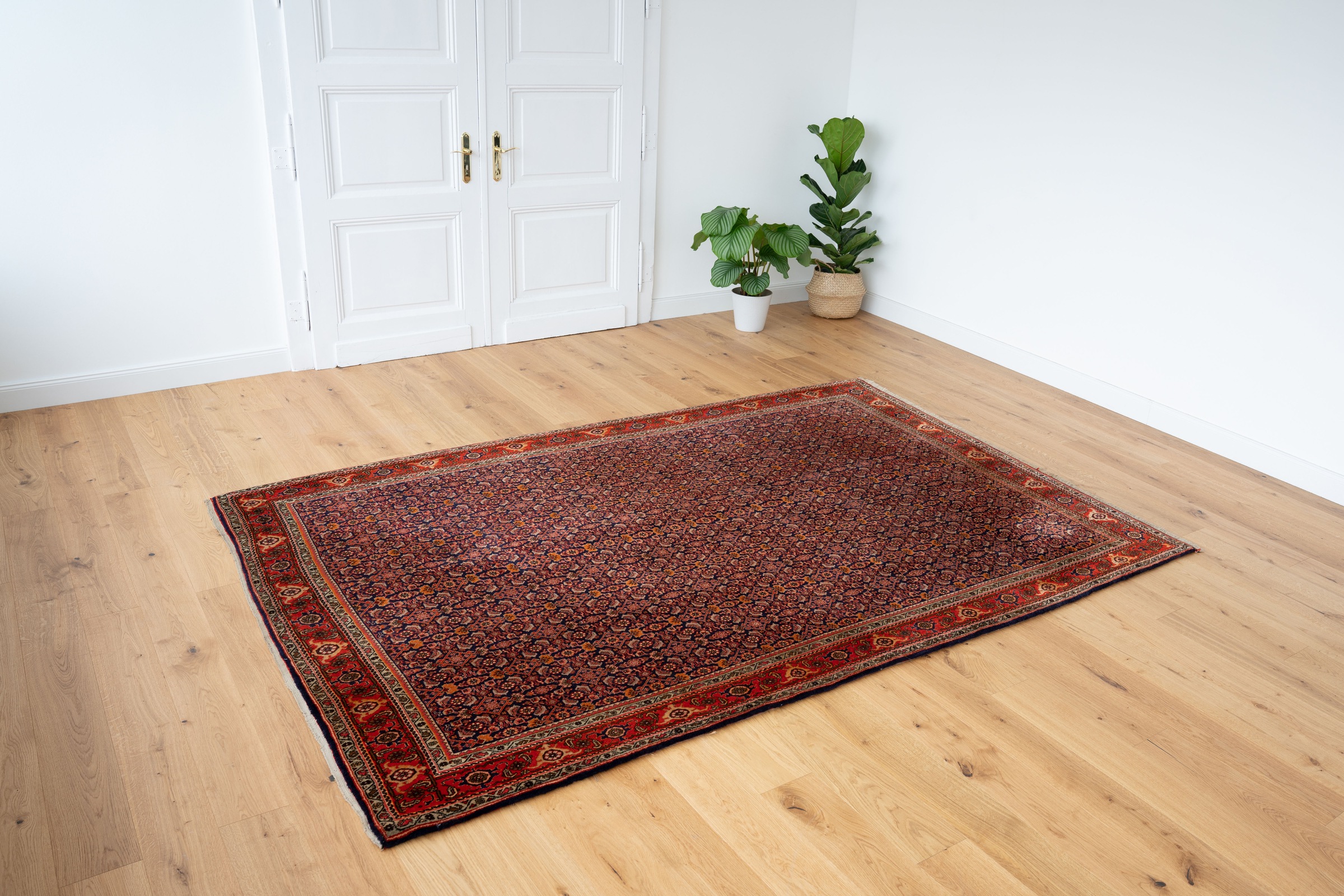 Image of Kayoom Orientteppich »Bidjar Fine«, rechteckig, 10 mm Höhe, handgeknüpft bei Ackermann Versand Schweiz