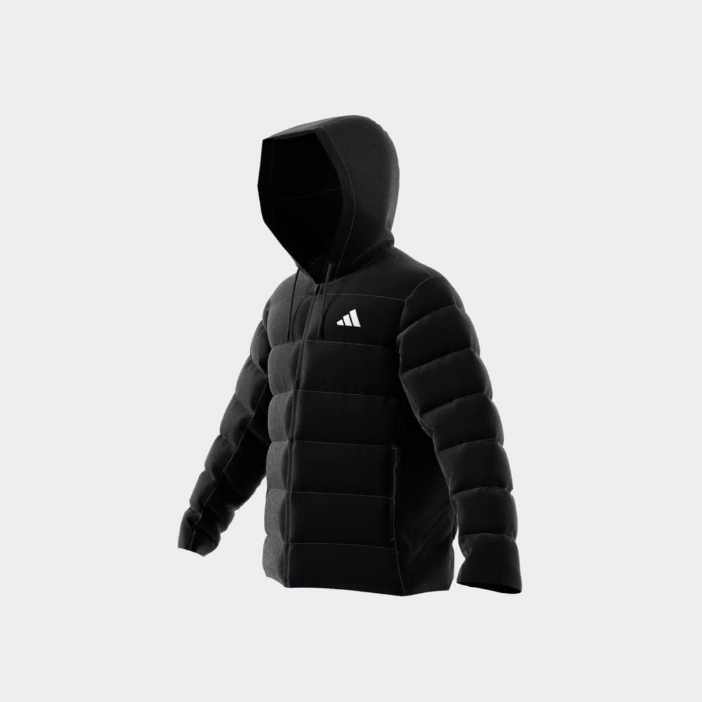 adidas Sportswear Veste matelassée »ESS SD PUF HD J« Winterjacke Herren