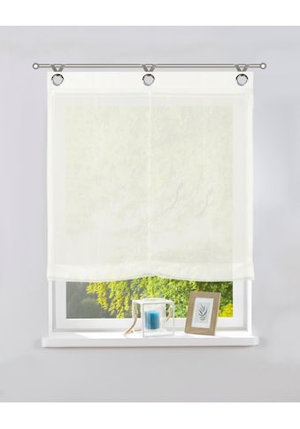 my home Raffrollo »Xana«, mit Hakenaufhängung, Transparent, Polyester kaufen